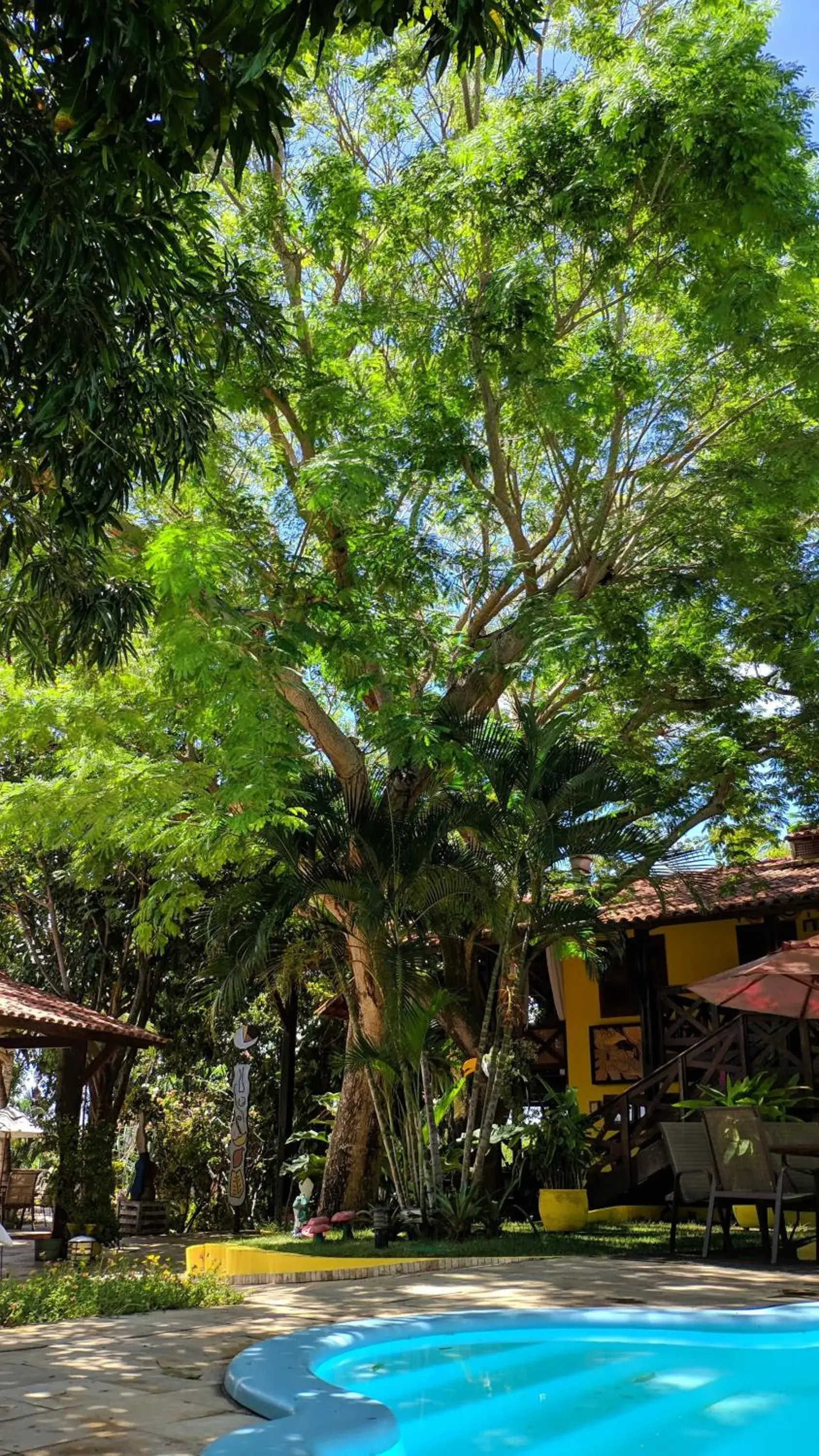 Swimming pool in ThalassaGarden Hotel - Pousada Swimming pool in ThalassaGarden Hotel - Pousada