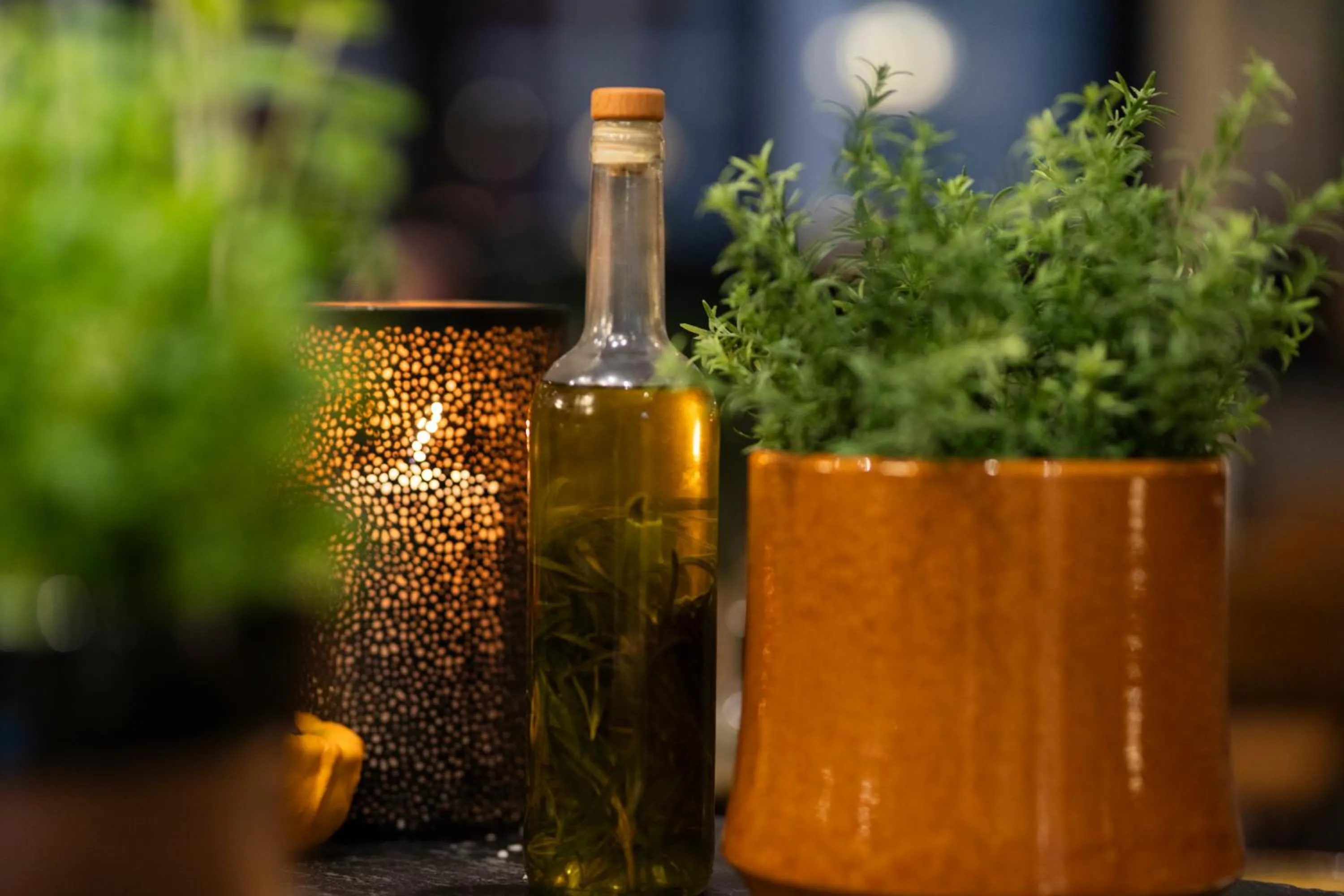 Restaurant/places to eat in Home Hotel Grand Bodø