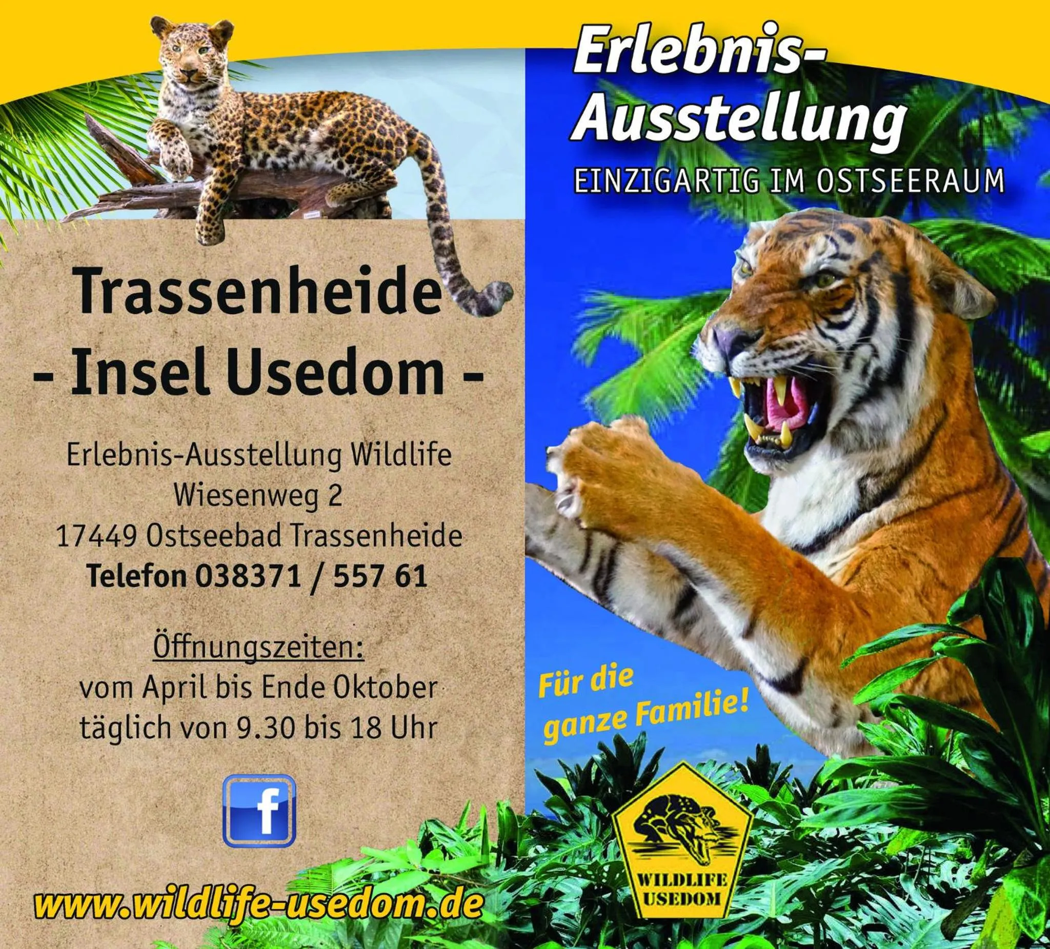 Pension Fischerhaus