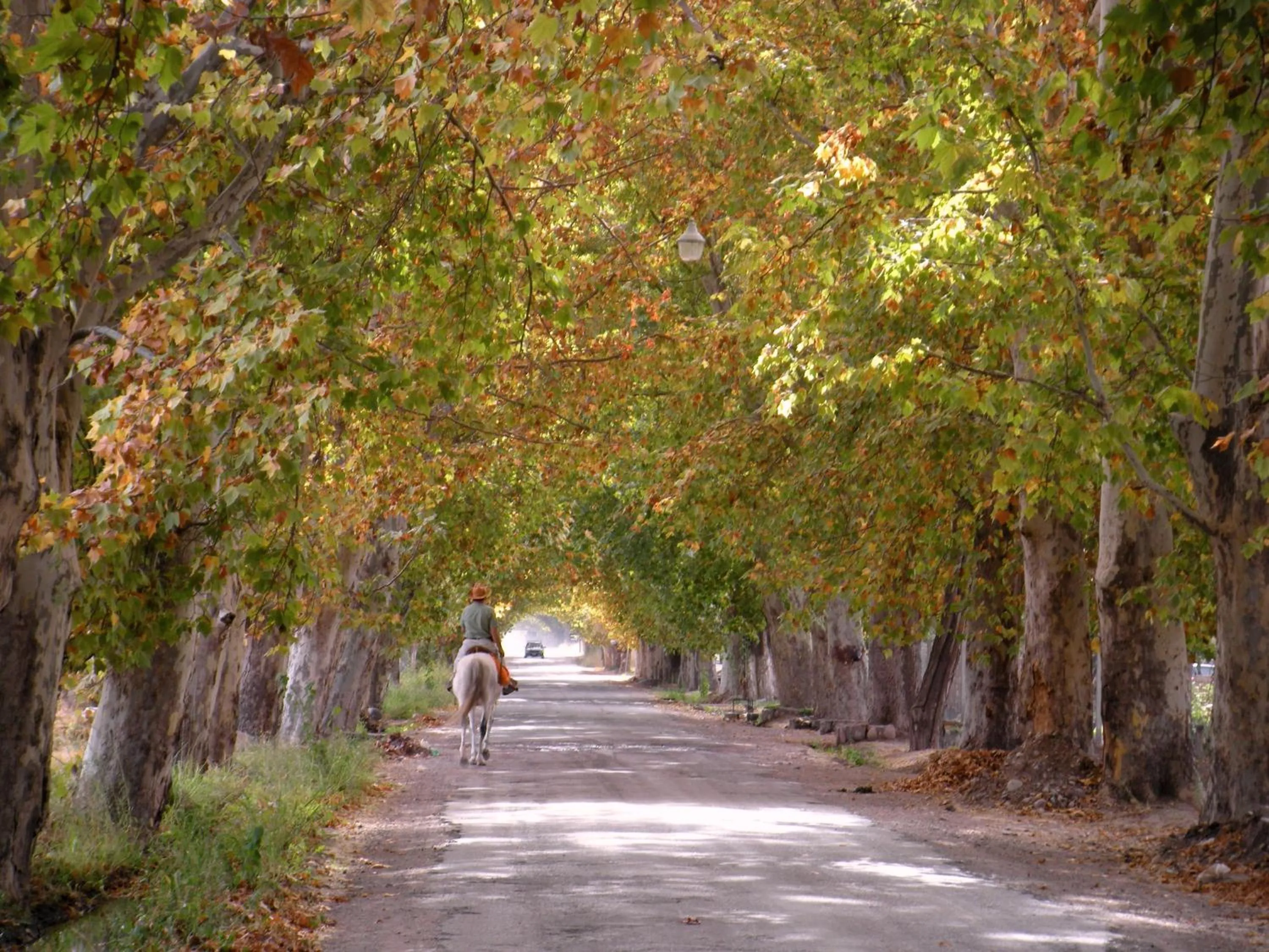 Activities in Hotel Crillon Mendoza
