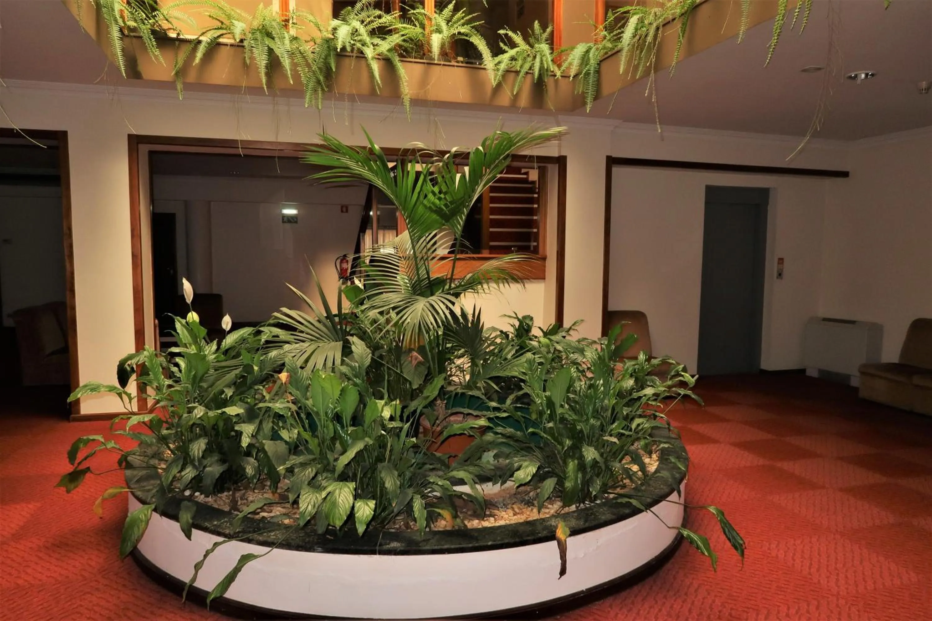 Garden in Hotel Contriz