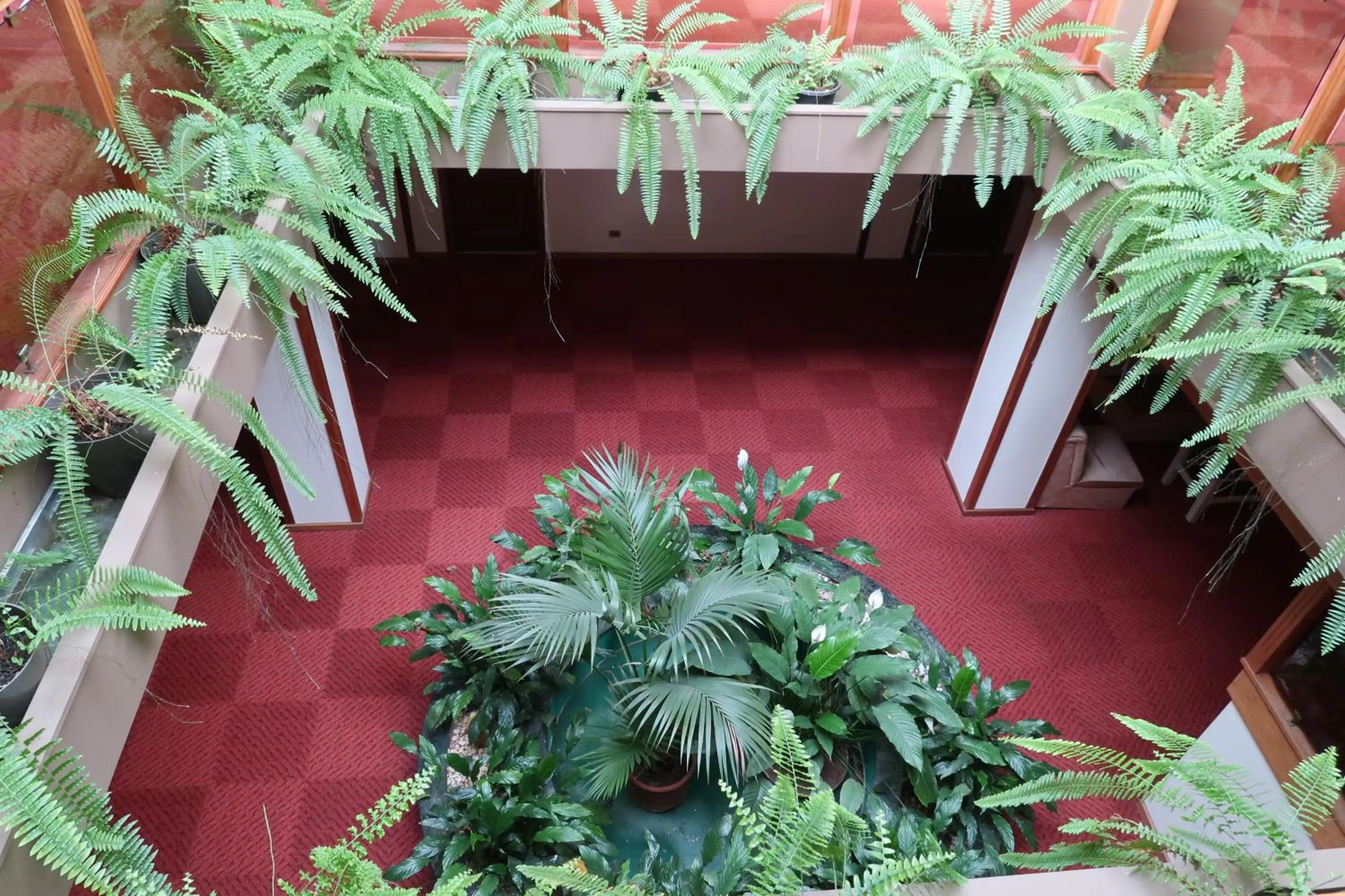 Garden in Hotel Contriz