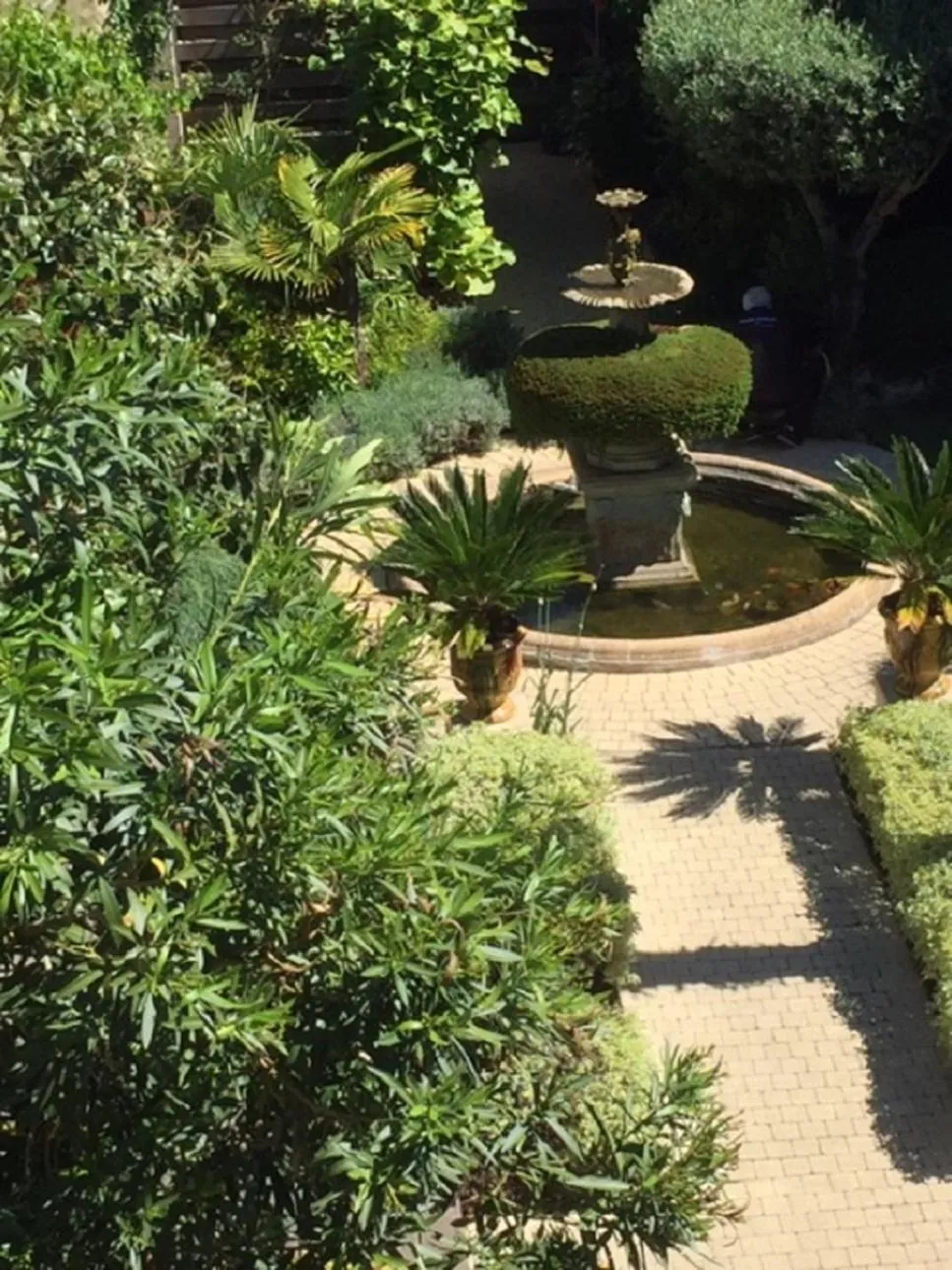 Garden in O'palmier Caché