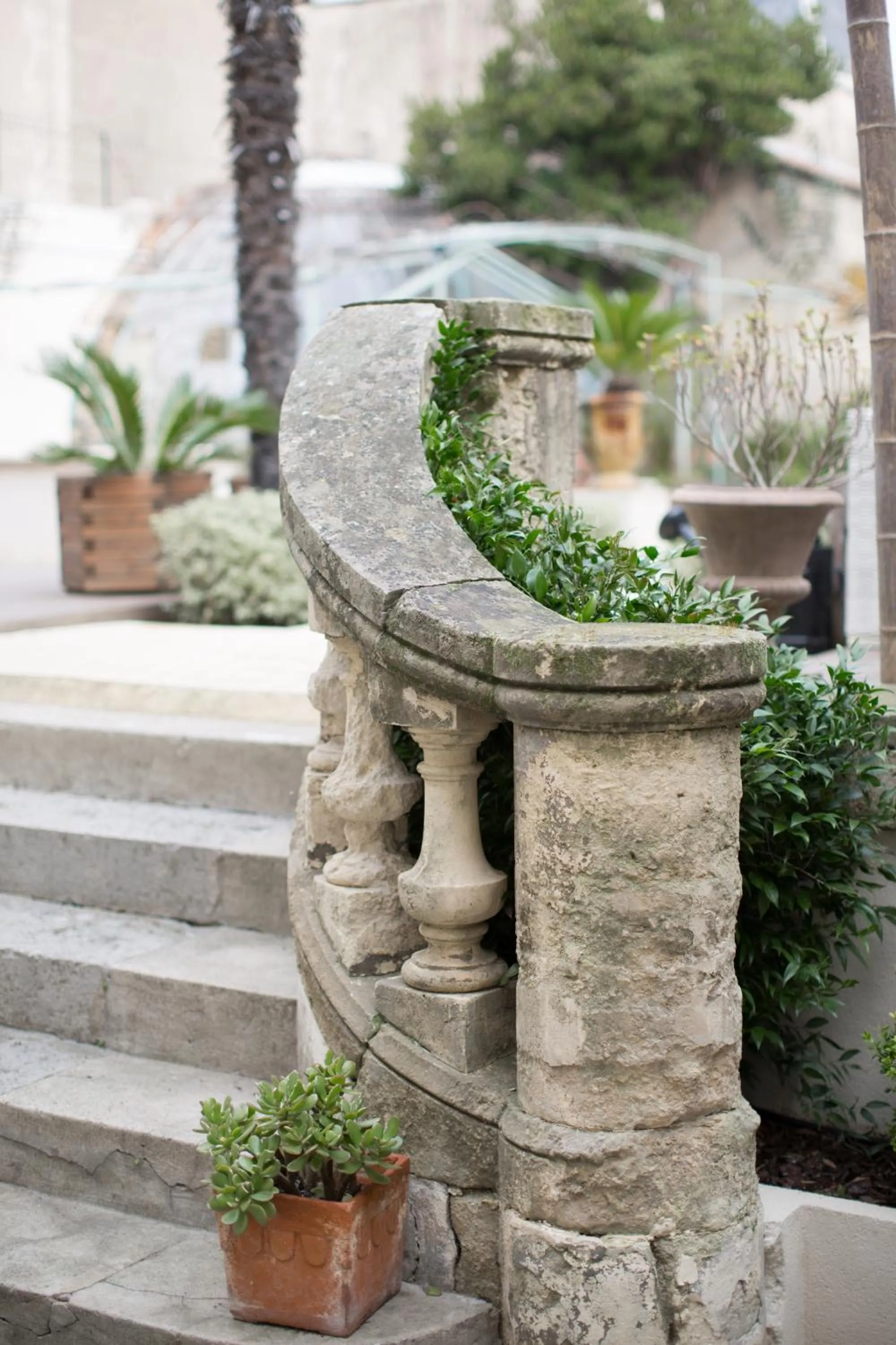 Garden in O'palmier Caché