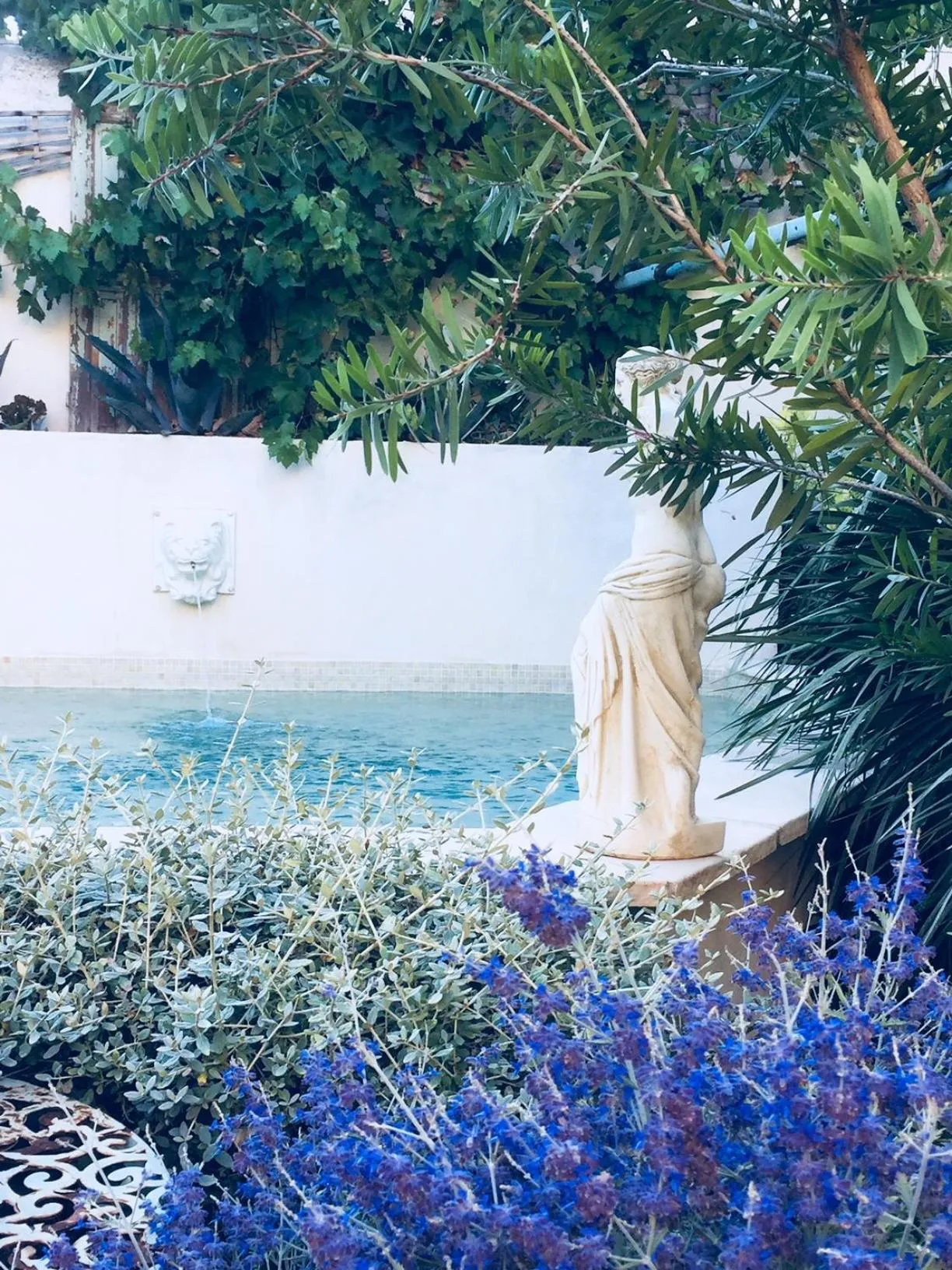 Swimming pool in O'palmier Caché