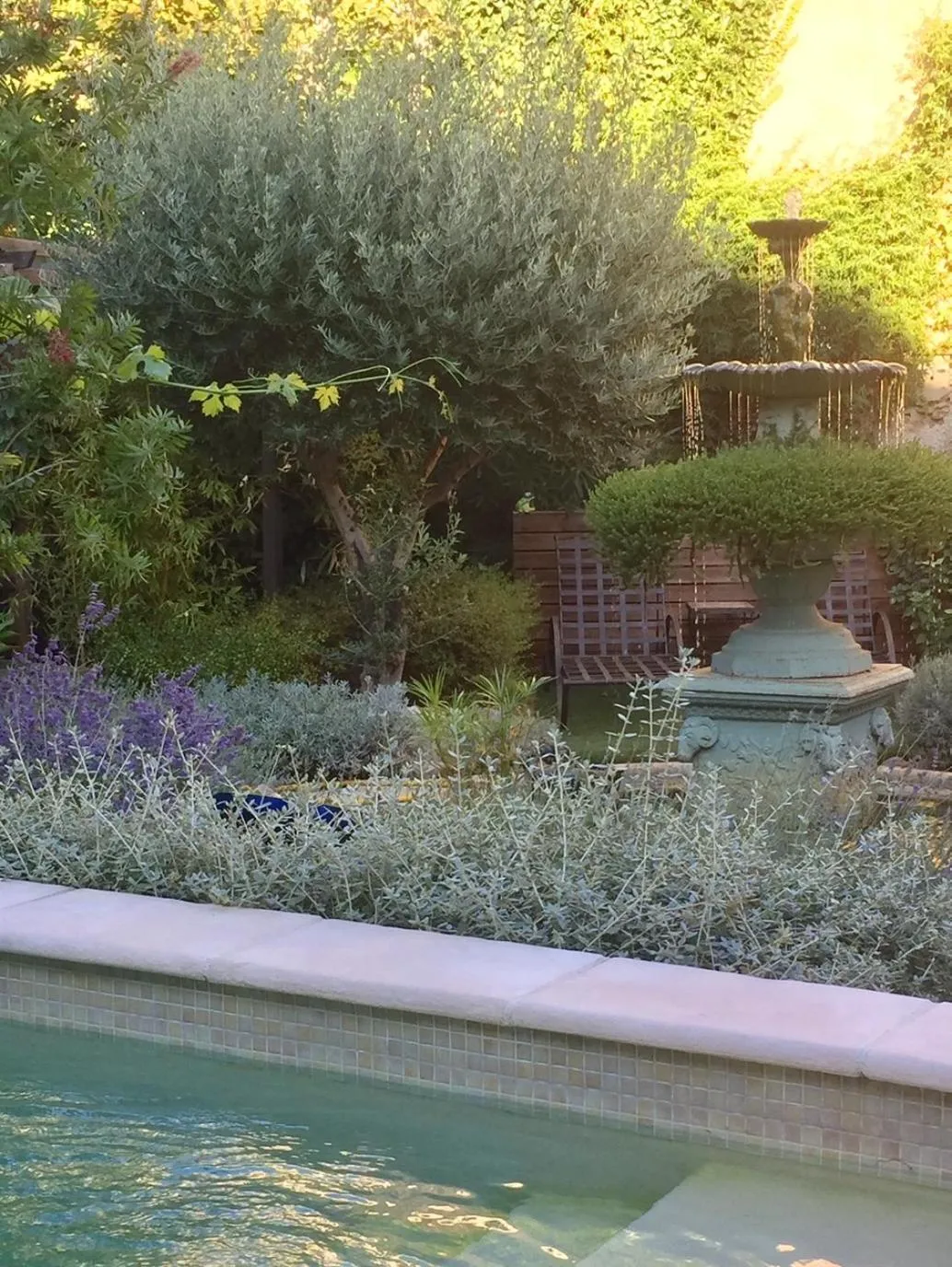 Garden in O'palmier Caché