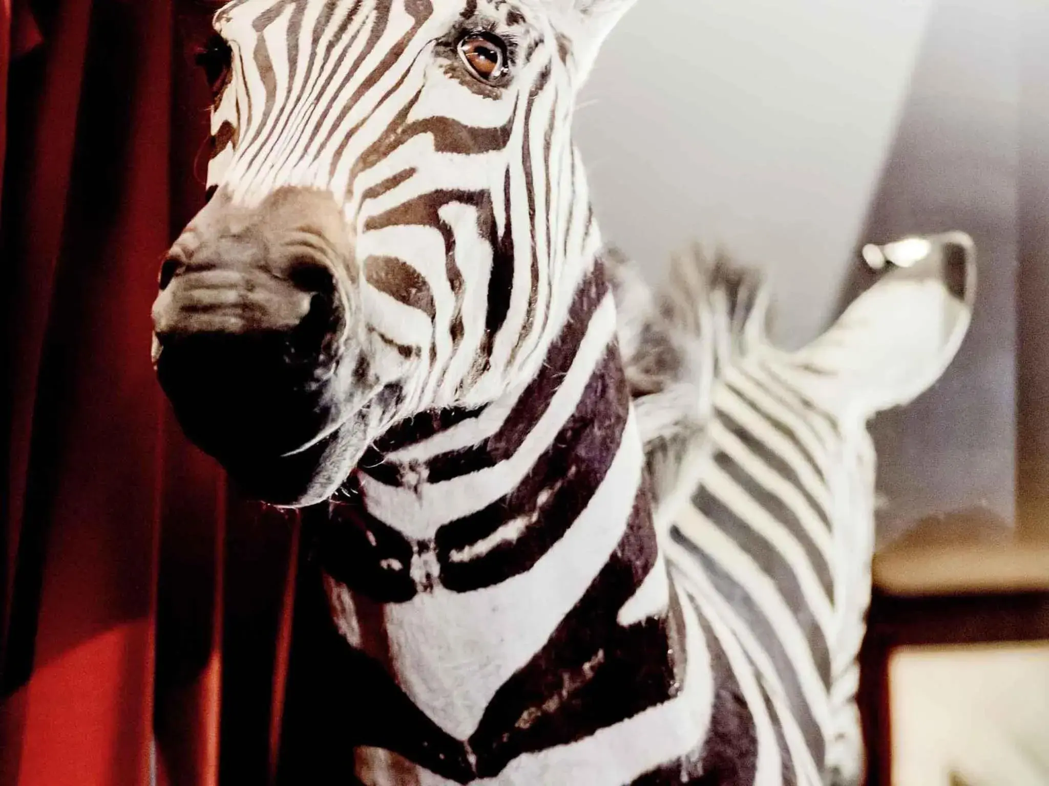 Lounge or bar in Park Hotel Grenoble - MGallery Collection Lounge or bar in Park Hotel Grenoble - MGallery Collection