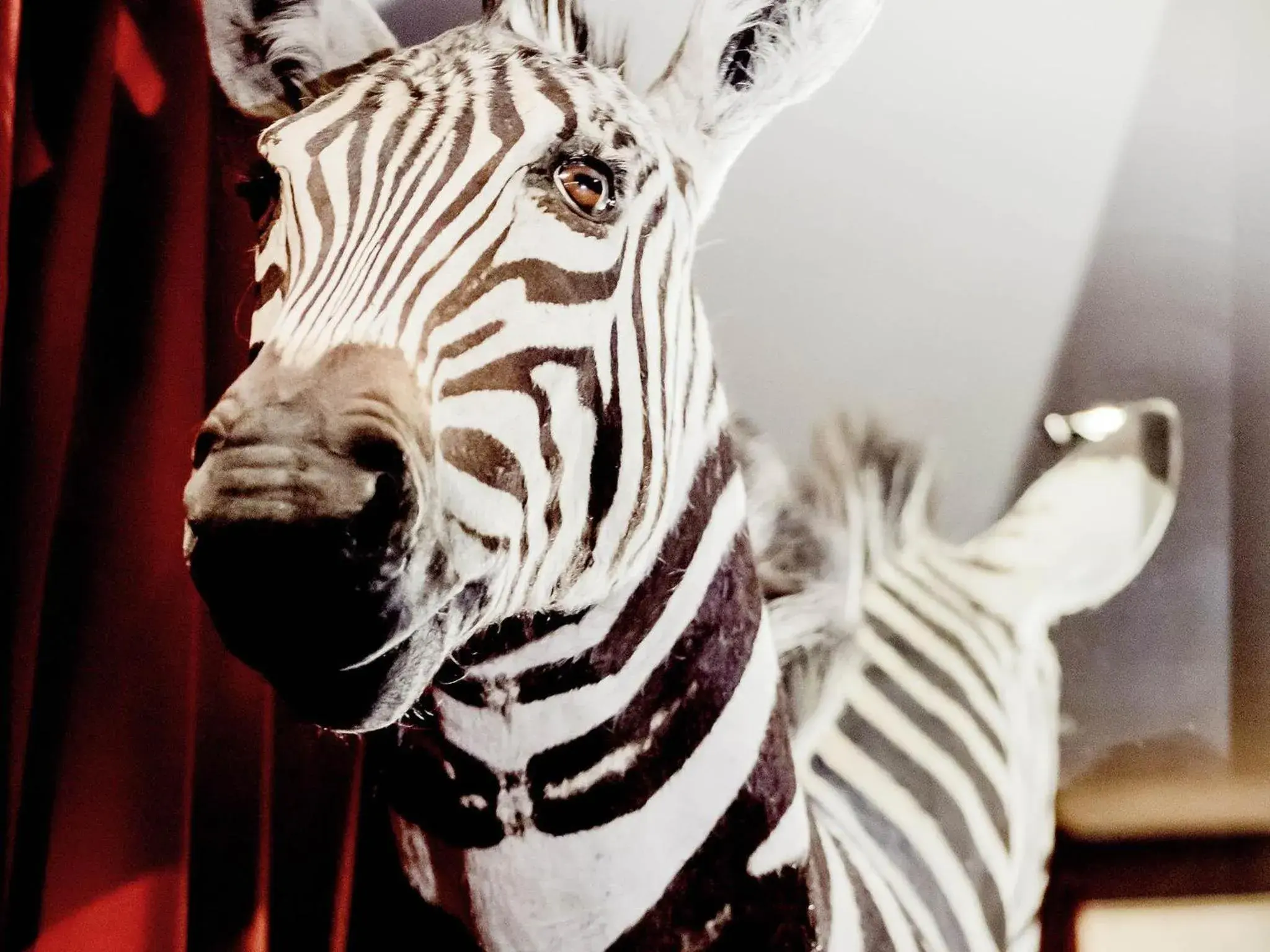 Lounge or bar in Park Hotel Grenoble - MGallery Collection Lounge or bar in Park Hotel Grenoble - MGallery Collection