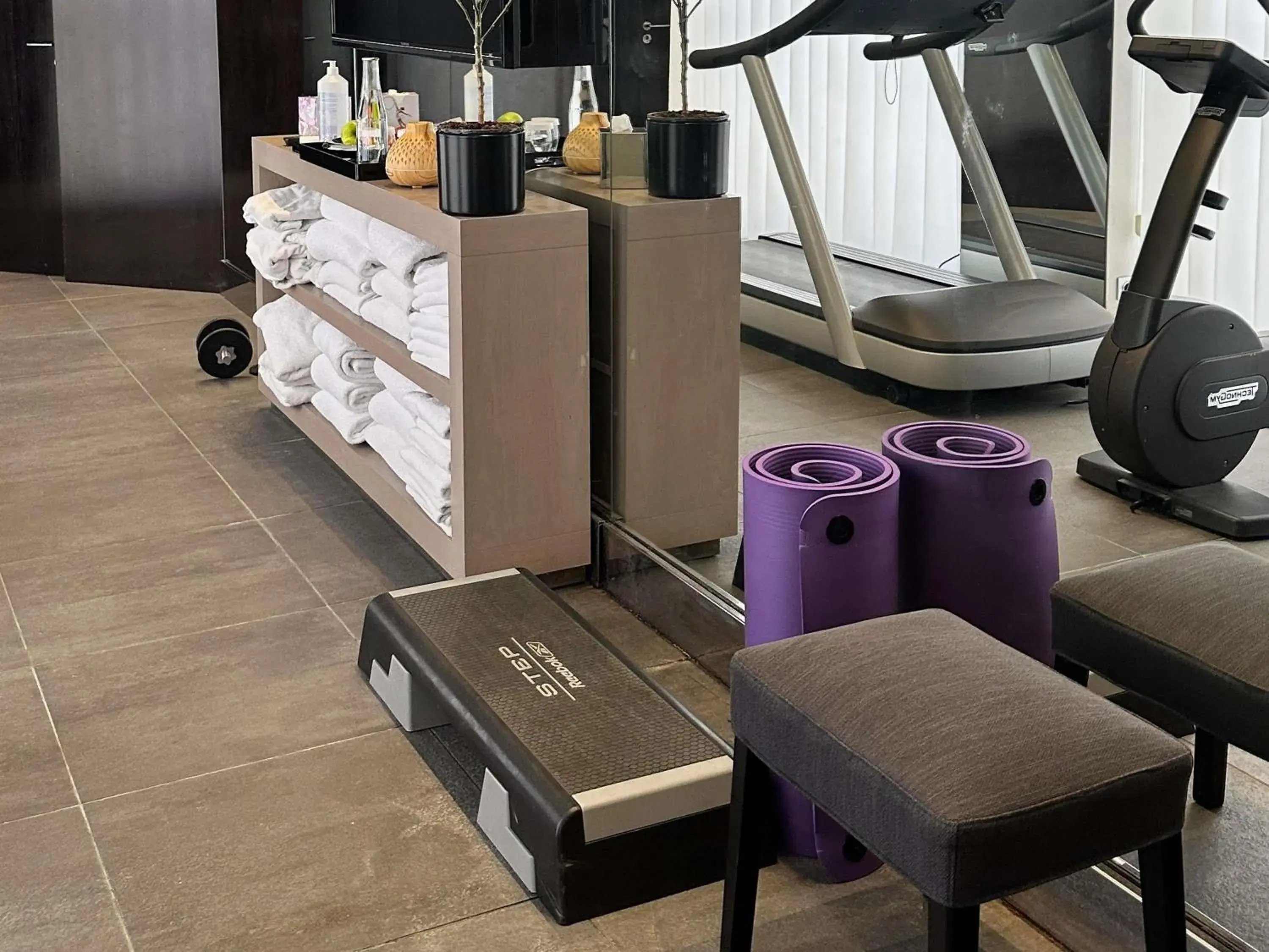 Fitness centre/facilities in Park Hotel Grenoble - MGallery Collection Fitness centre/facilities in Park Hotel Grenoble - MGallery Collection