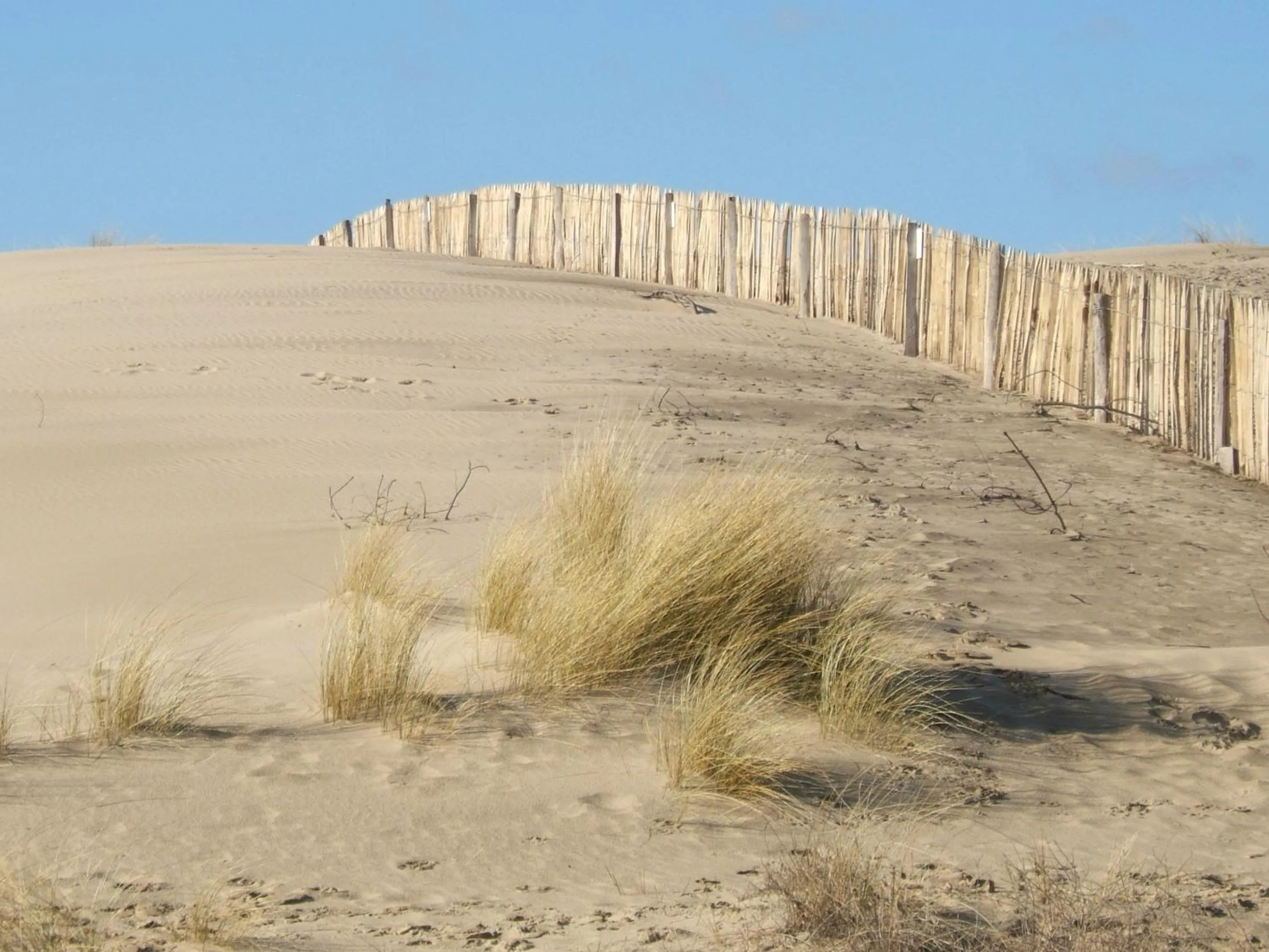 Natural landscape in Le Heron Cendré