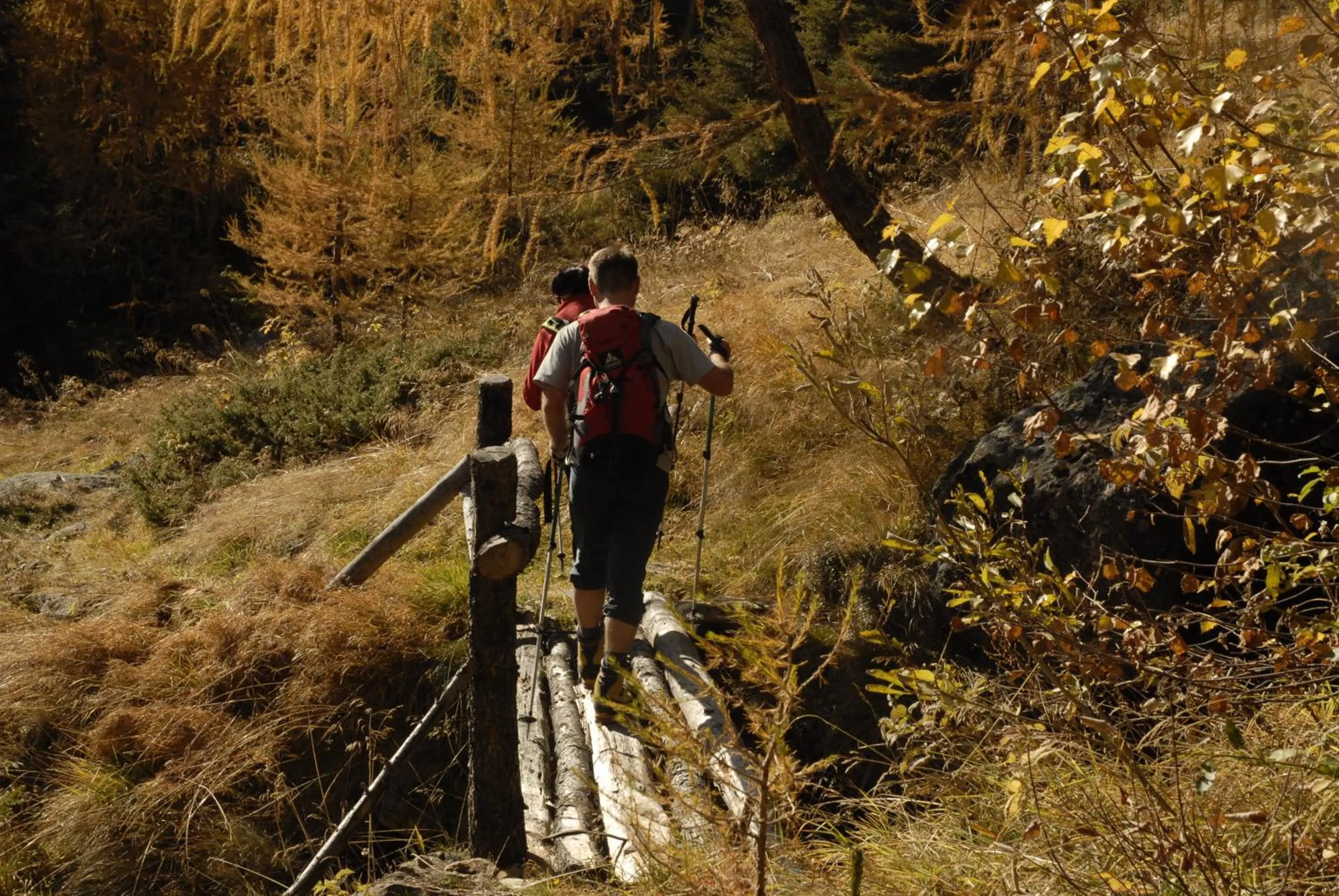 Natural landscape in Landhotel Post