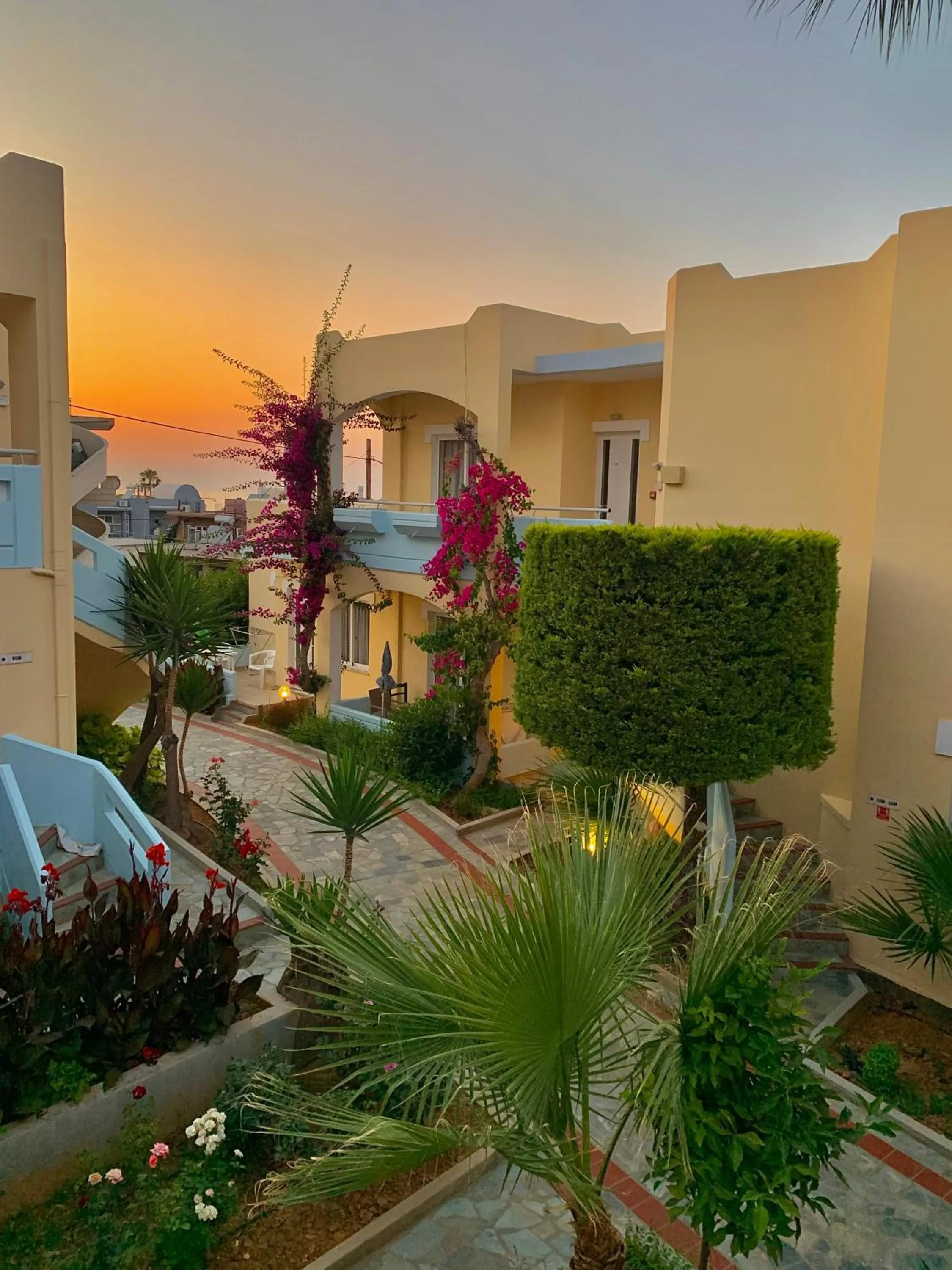 Garden in Mediterranea Apartments