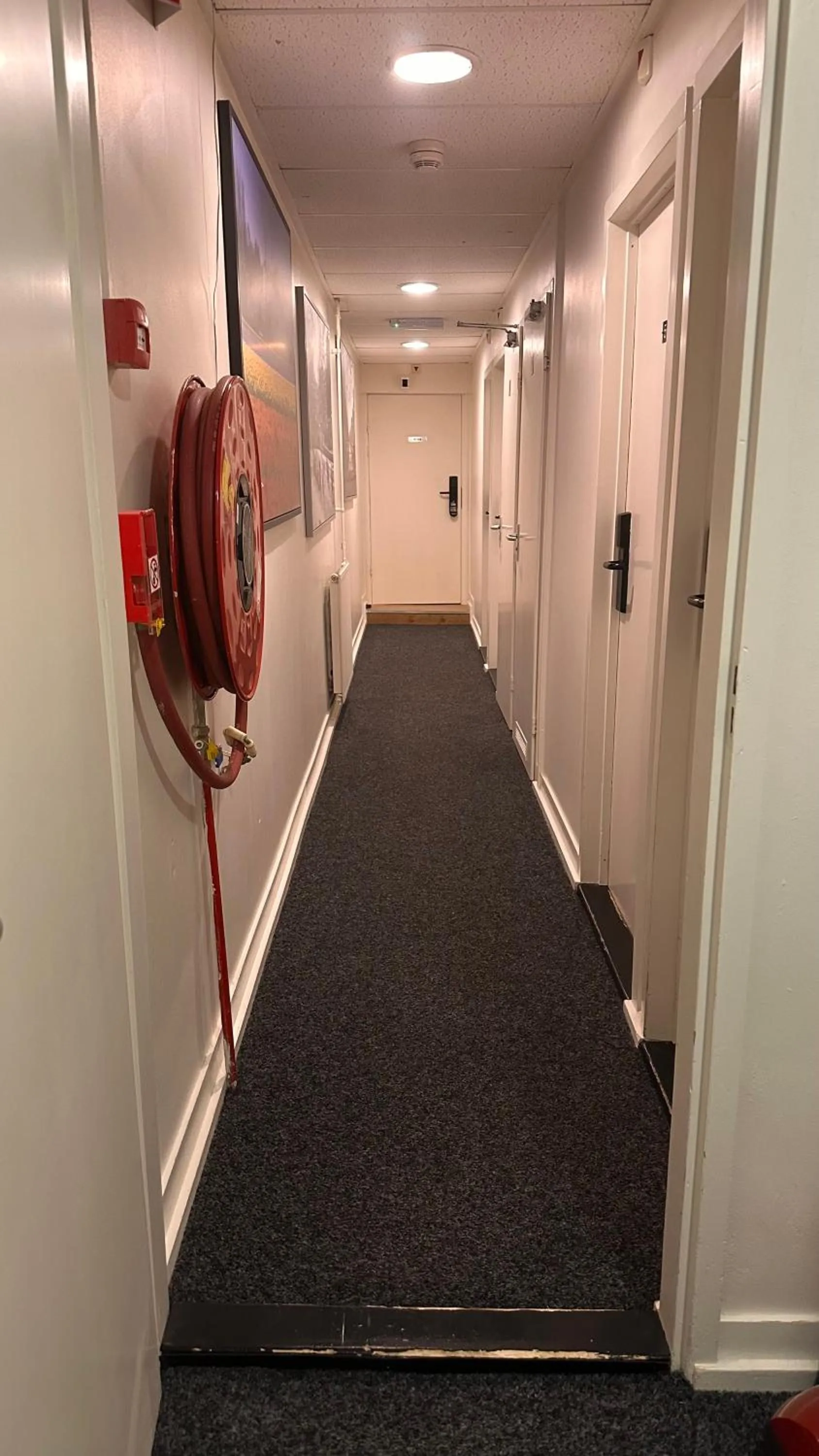 Decorative detail in Hotel Hortus