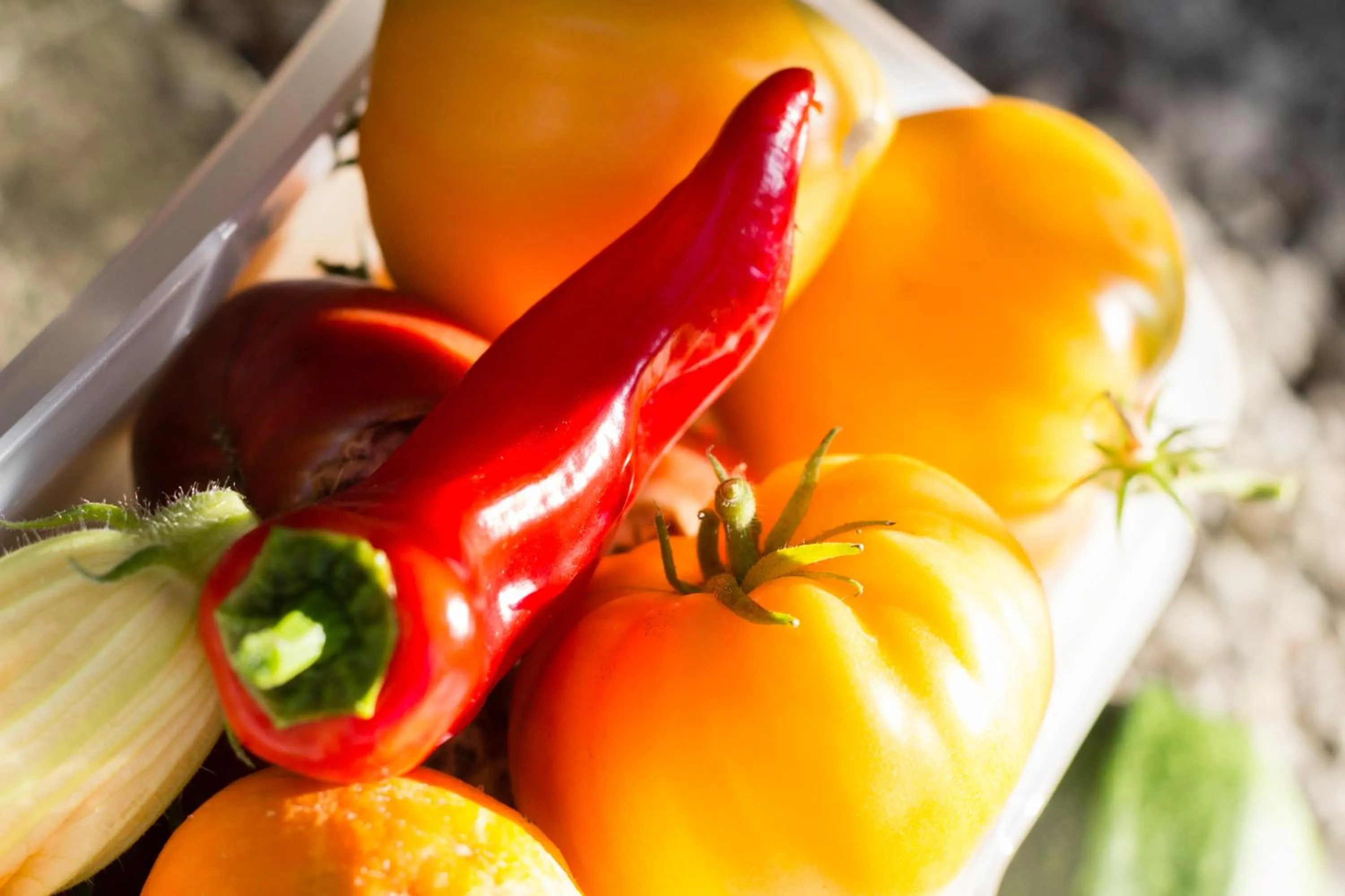 Food in Vertes Feuilles