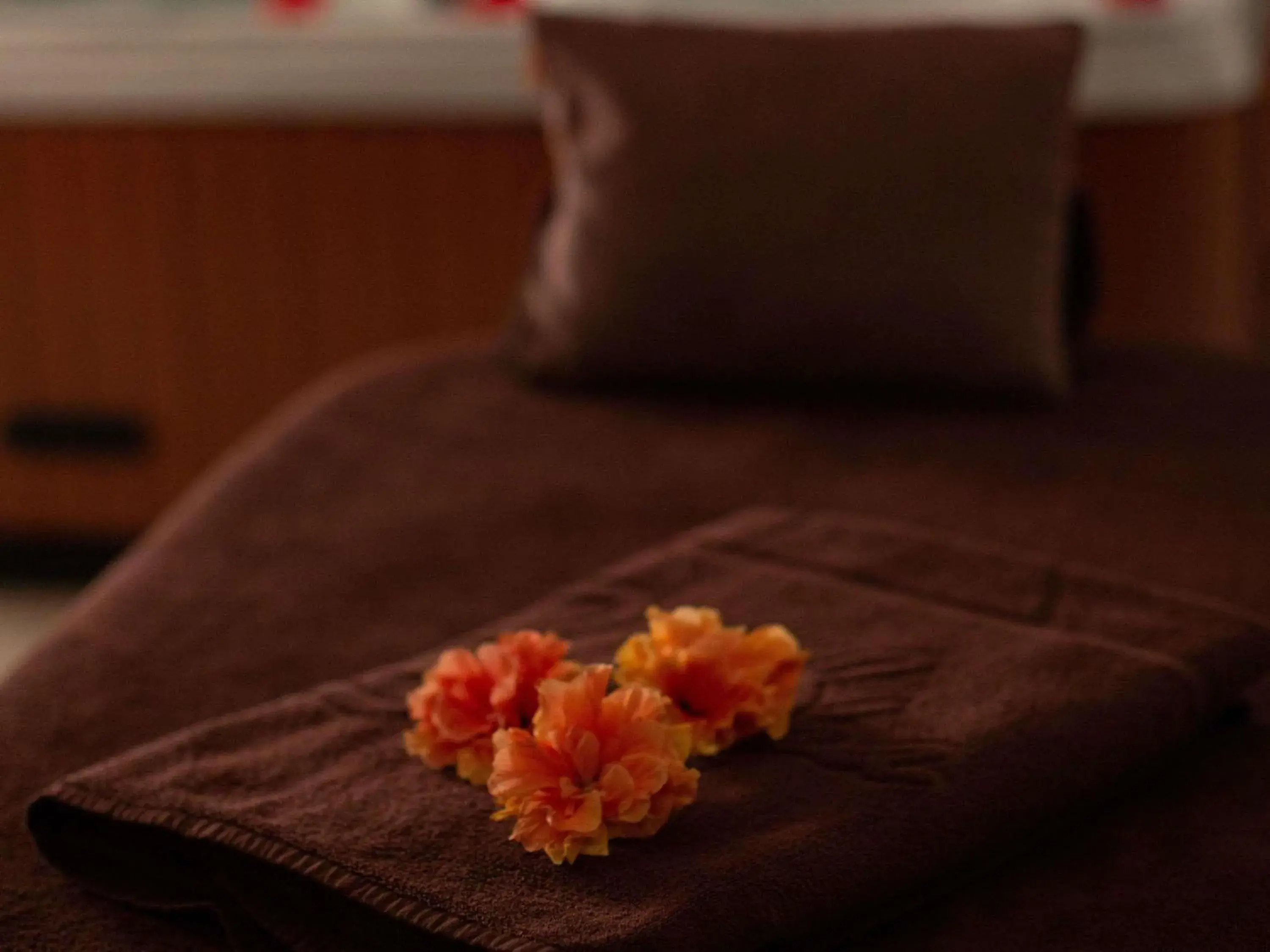 Spa and wellness centre/facilities, Bed in Movenpick Resort & Spa El Gouna Spa and wellness centre/facilities, Bed in Movenpick Resort & Spa El Gouna