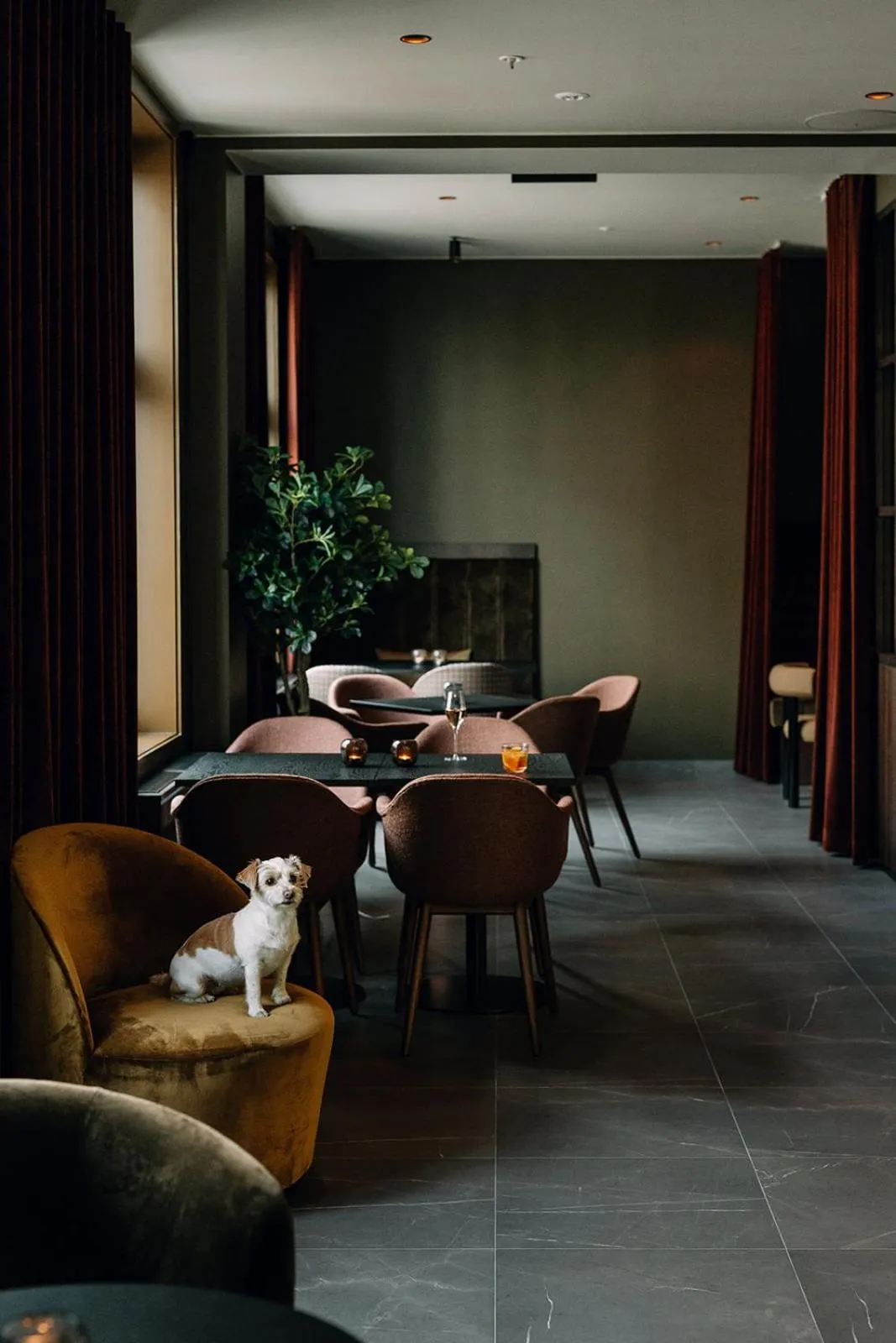 Lobby or reception in Saga Hotel Oslo, WorldHotels Crafted