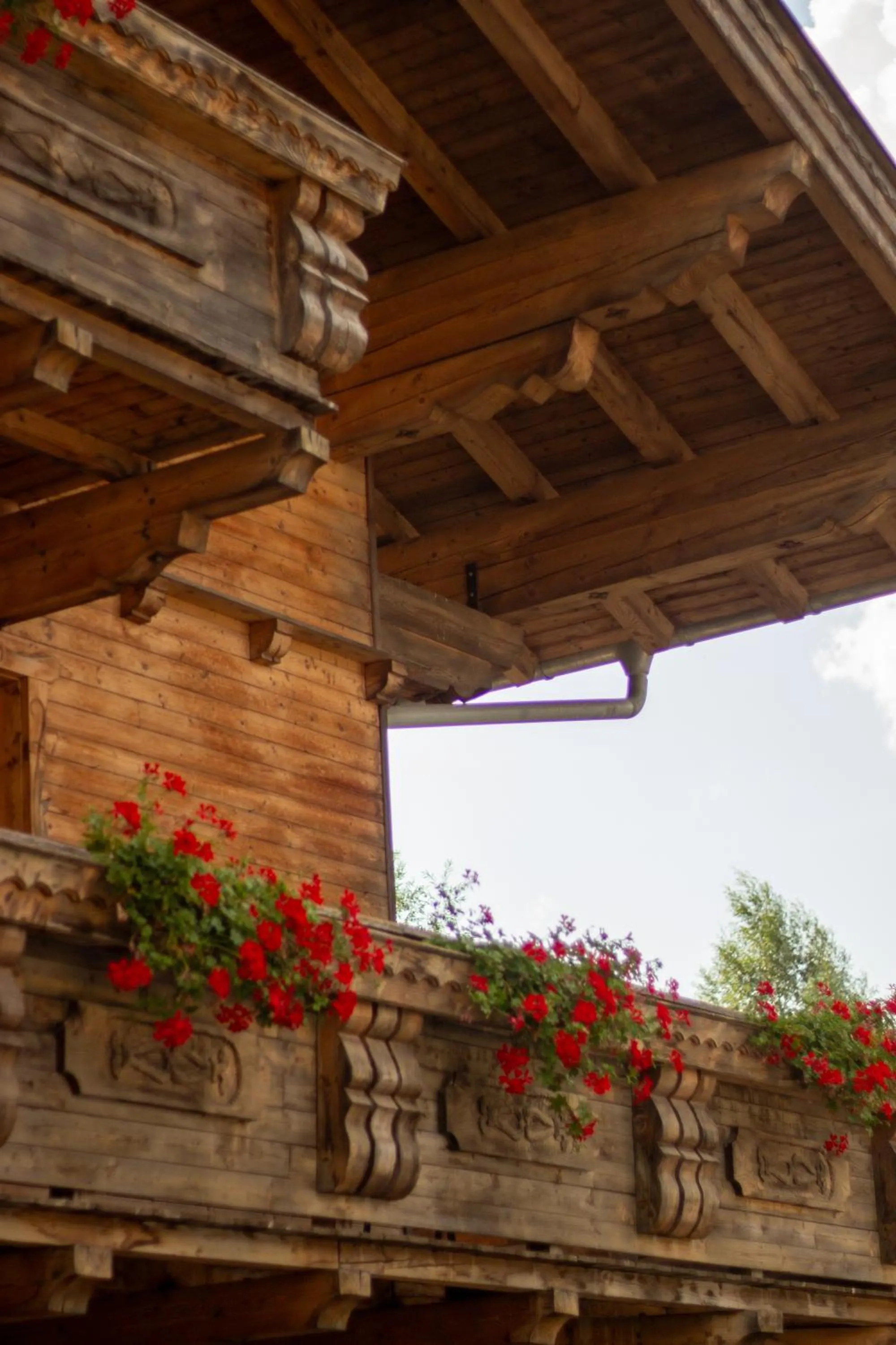 View (from property/room) in Hotel Forsthof