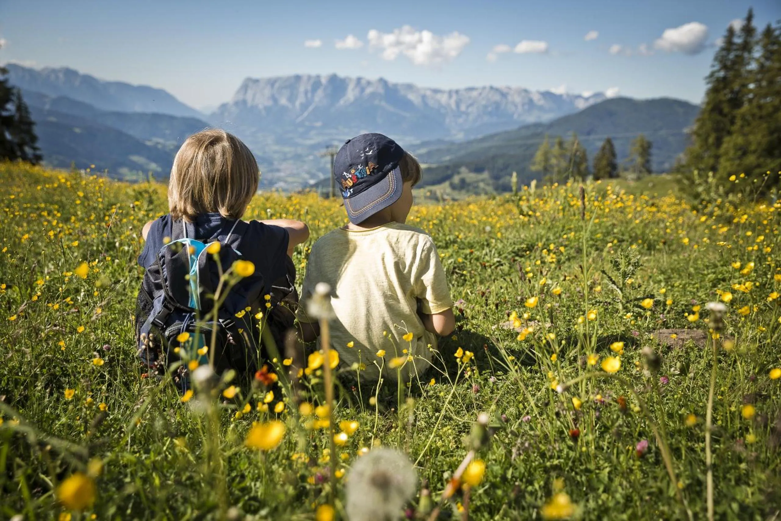 Natural landscape in Hotel Forsthof