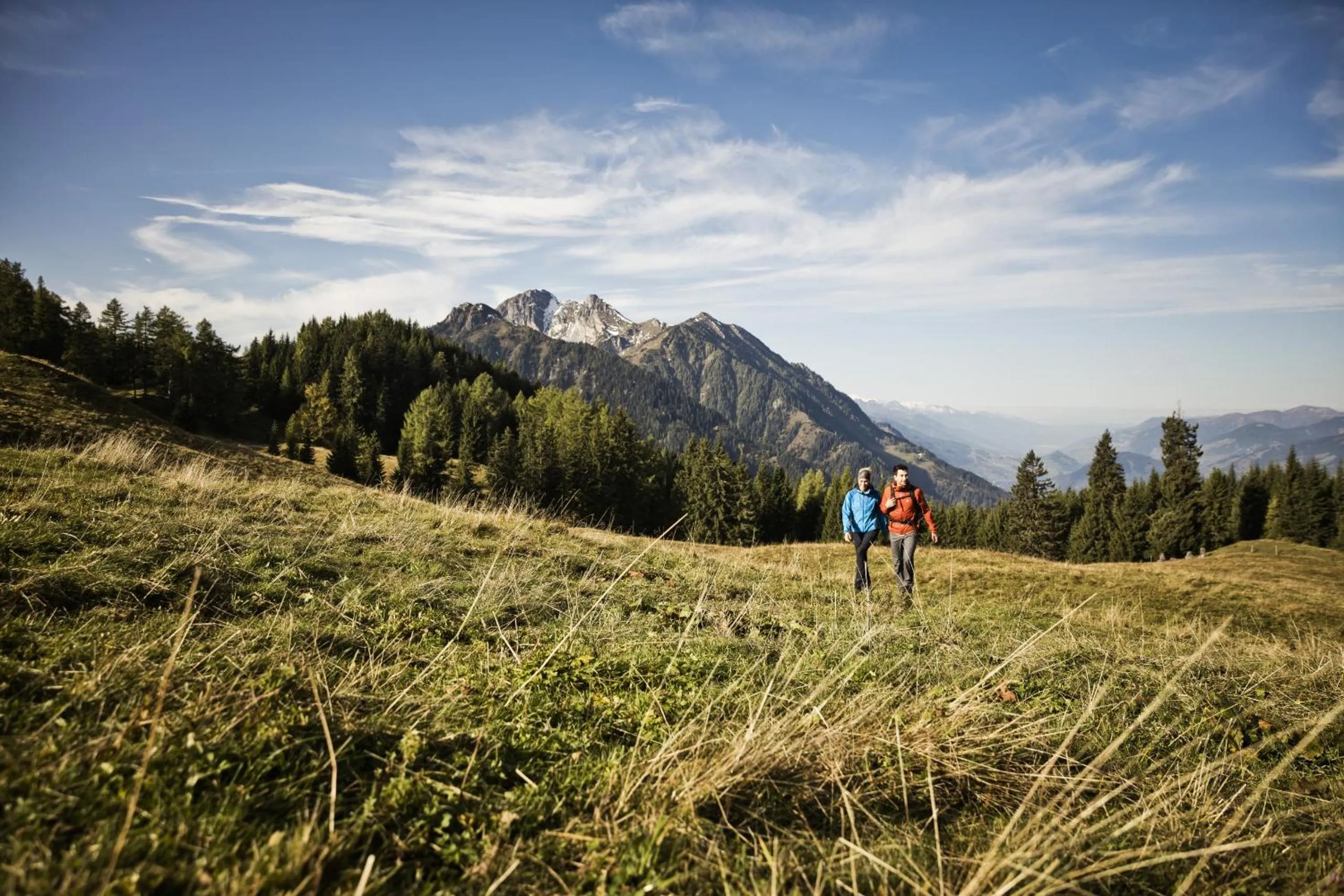 Nearby landmark in Hotel Forsthof