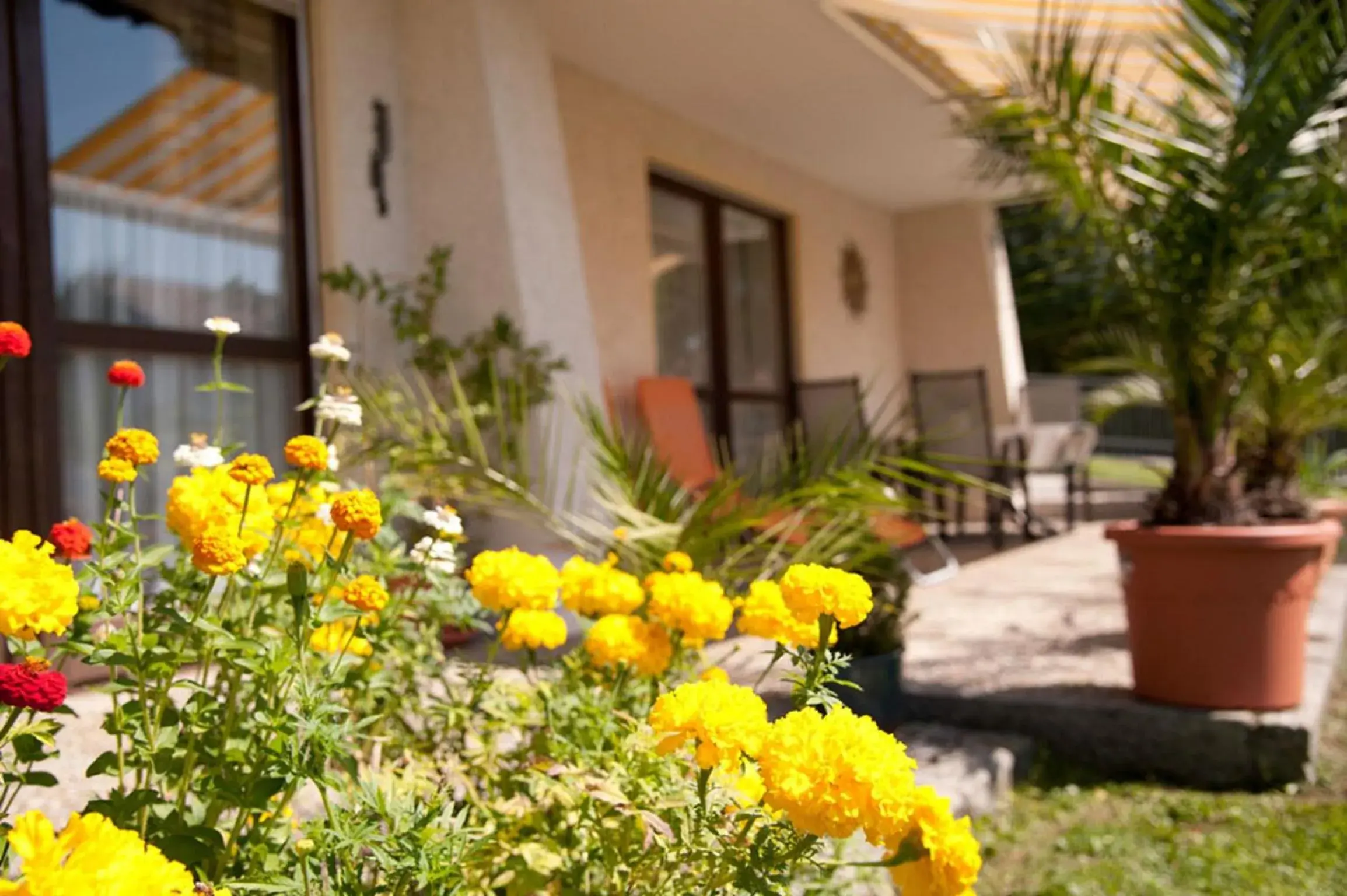 Ferienwohnung Völkl Ferienwohnung Völkl