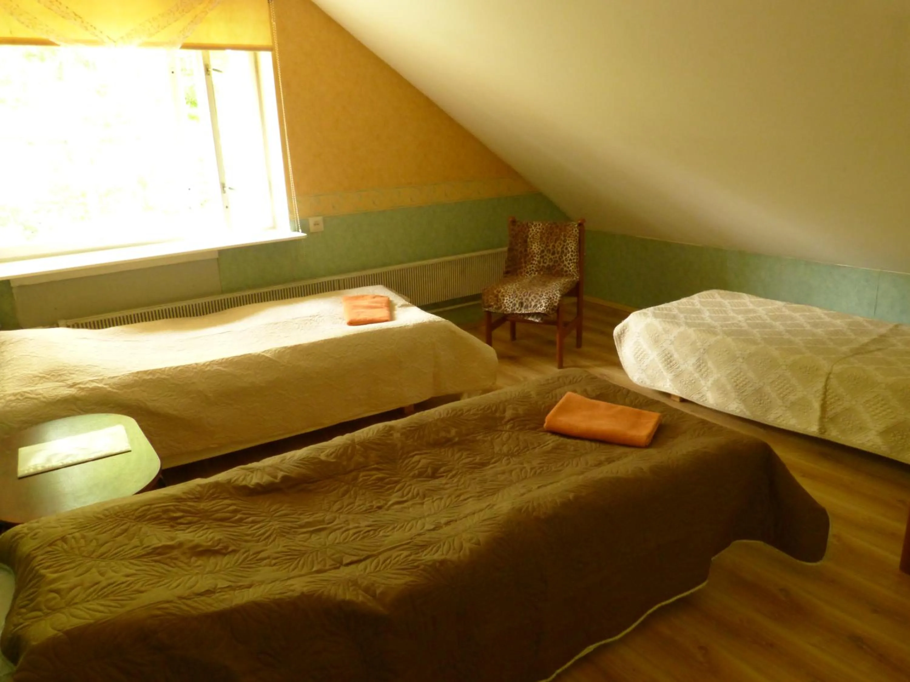 Bed in Viva Pirita Hostel