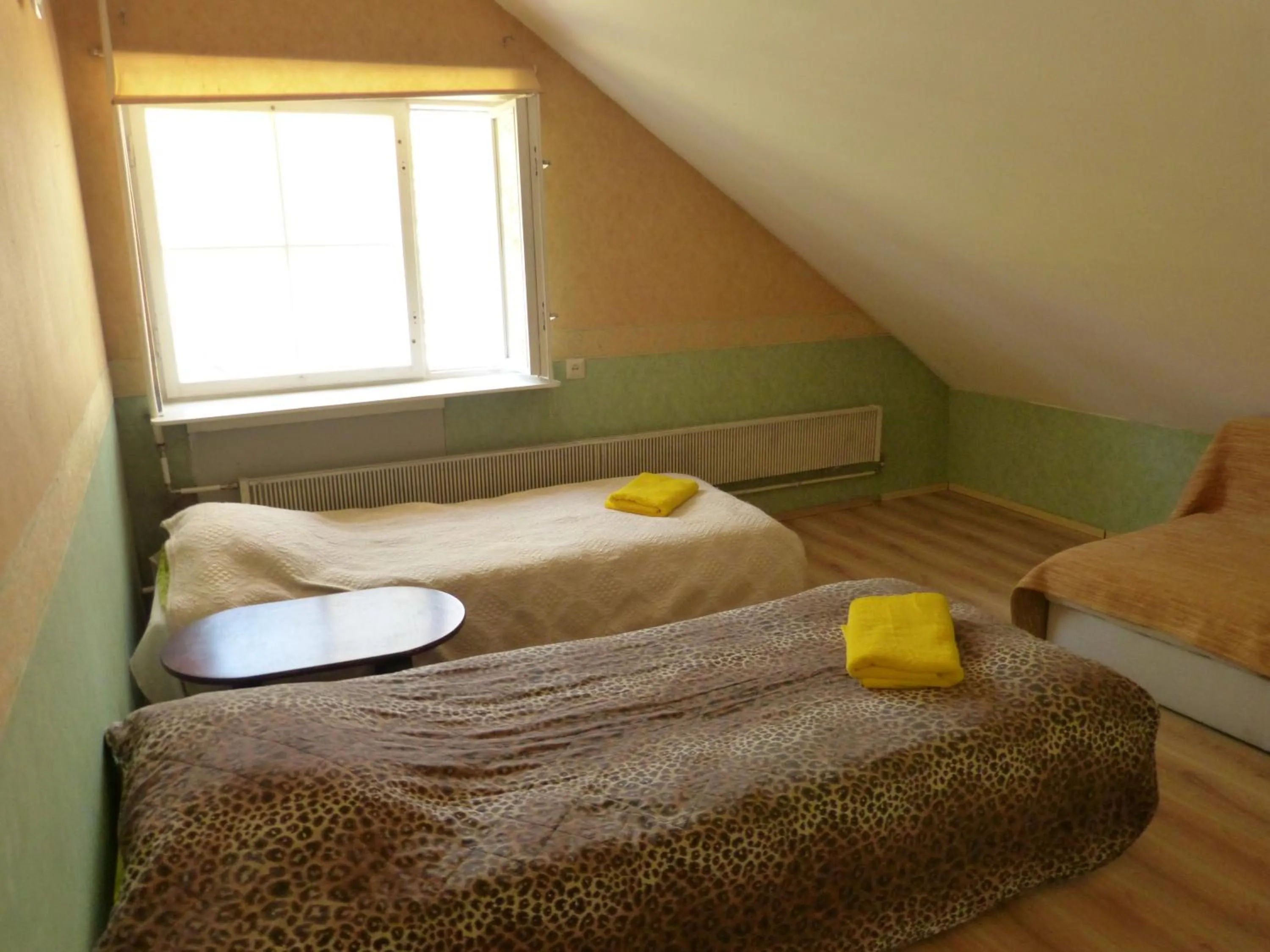 Photo of the whole room, Bed in Viva Pirita Hostel