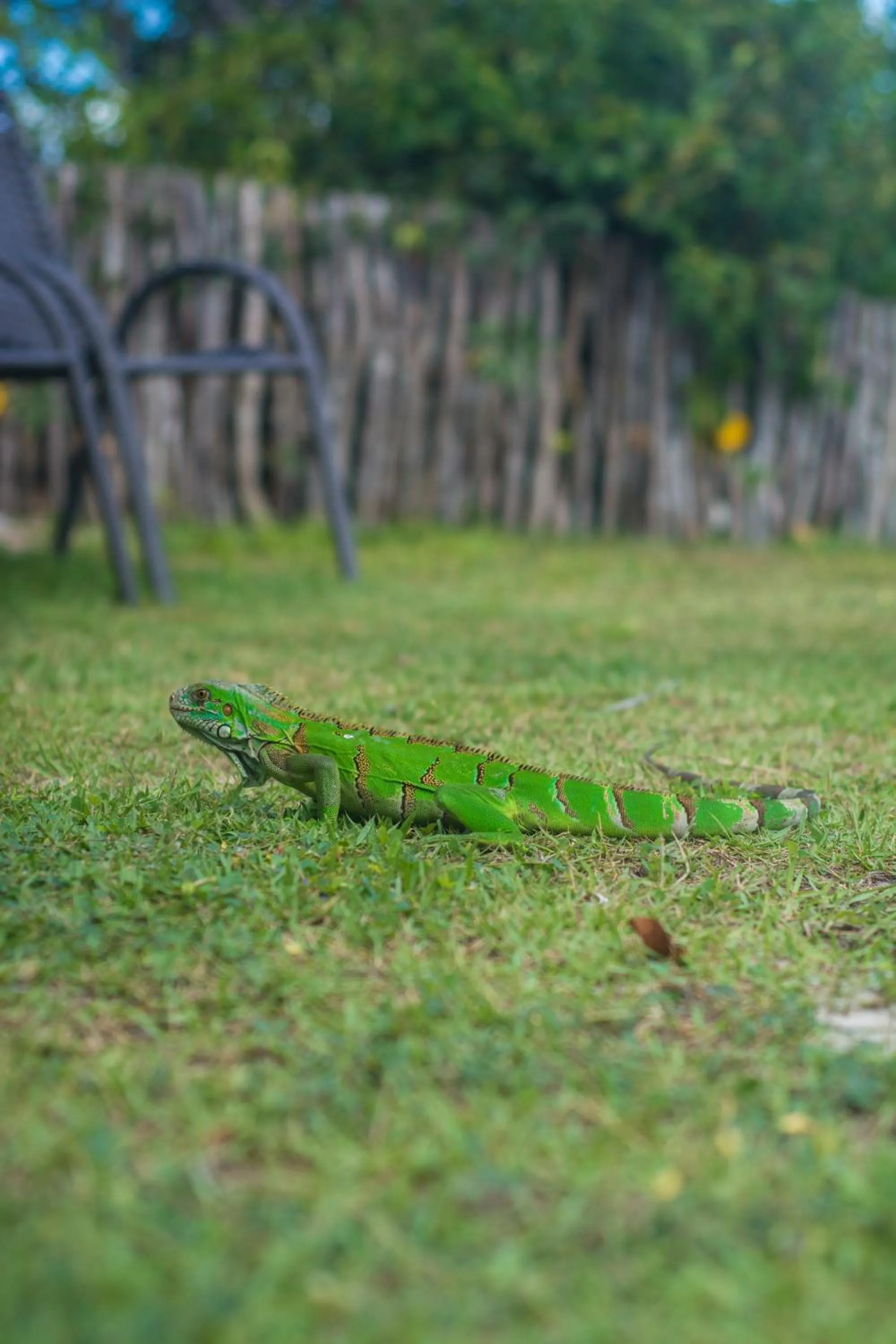 Natural landscape in Ciamat Camp