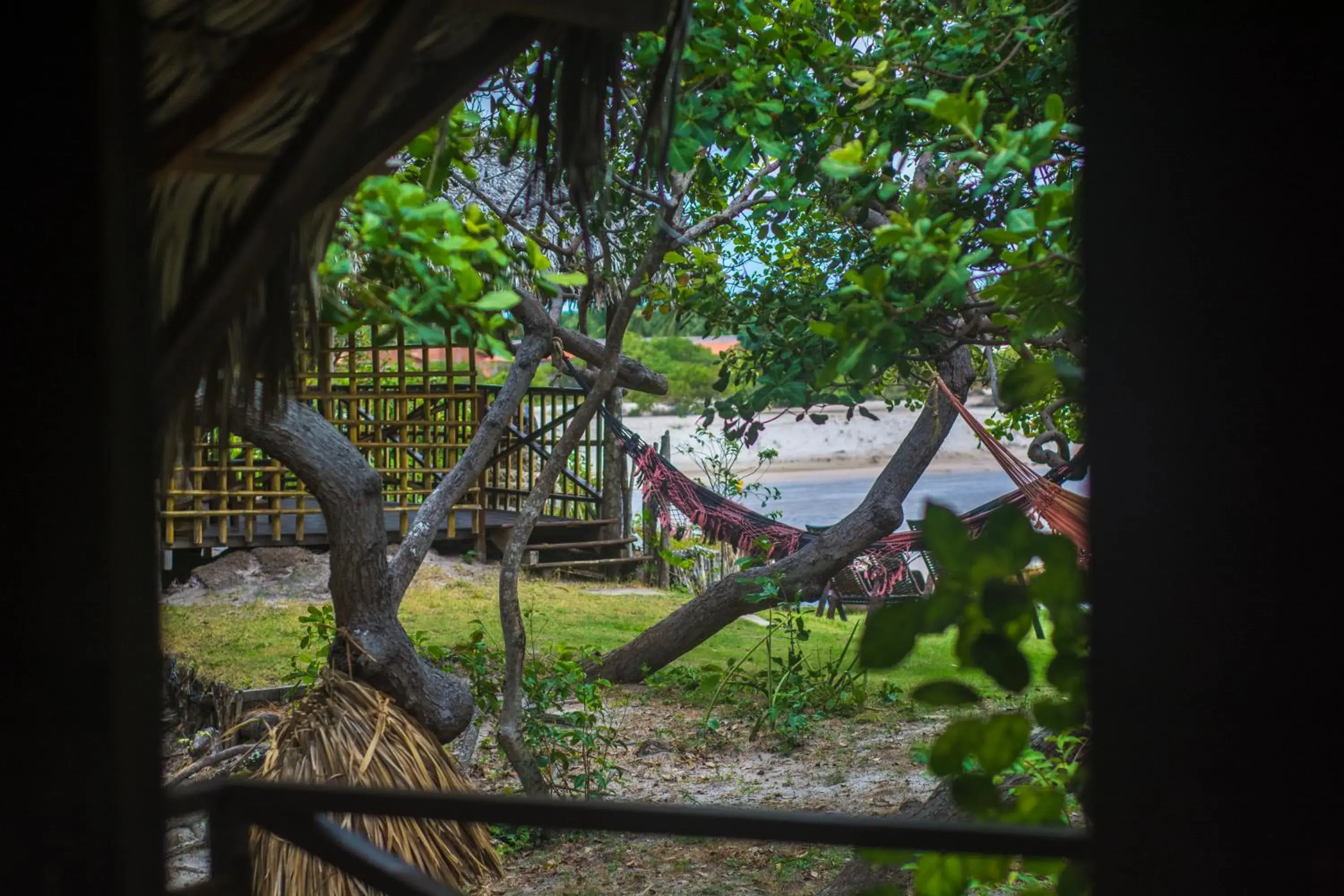 Garden view in Ciamat Camp Garden view in Ciamat Camp
