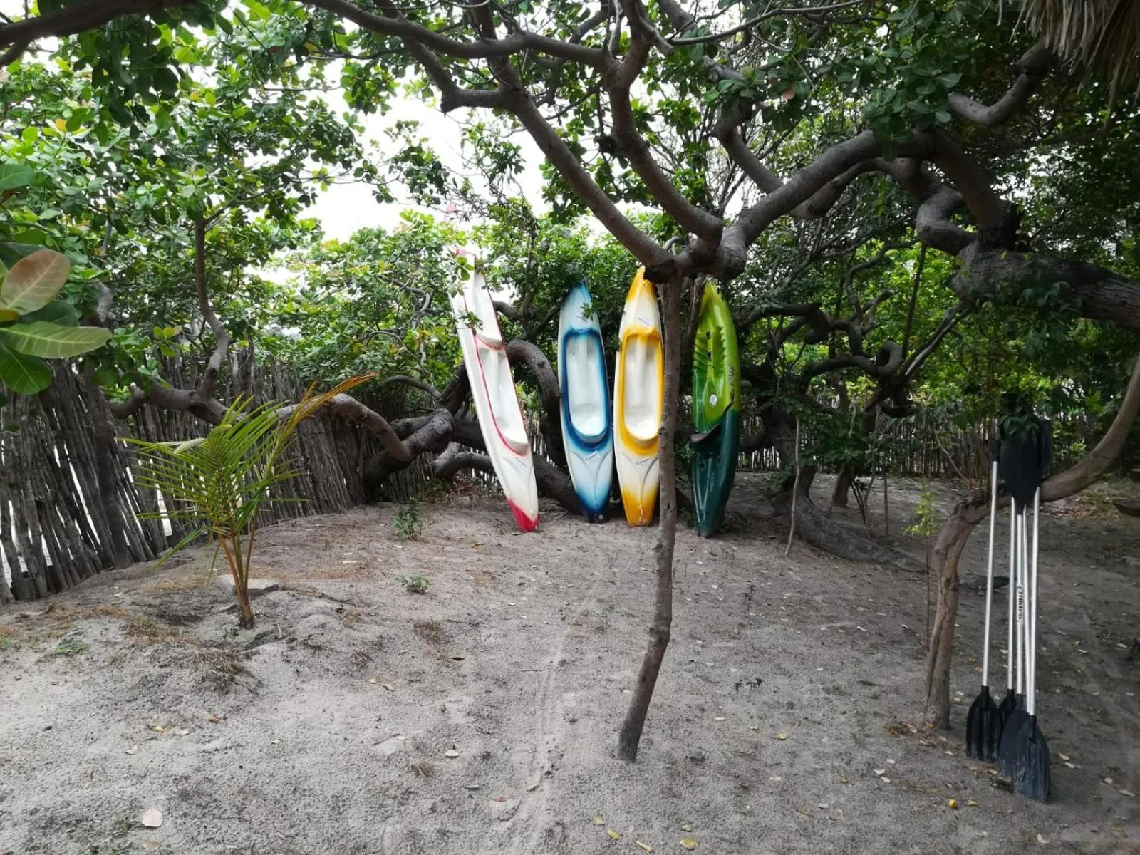 Garden view in Ciamat Camp