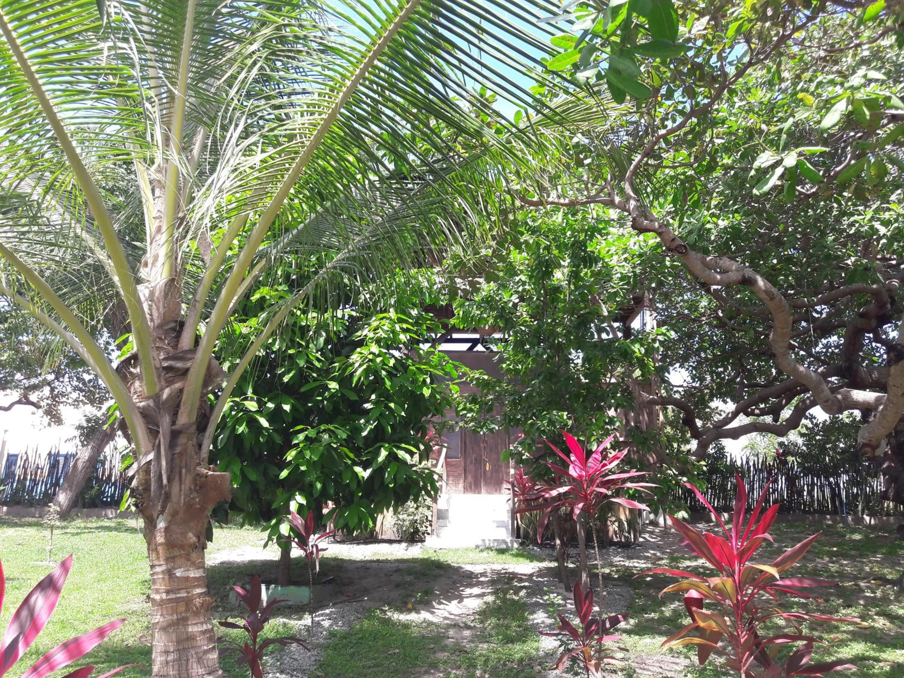 Garden in Ciamat Camp