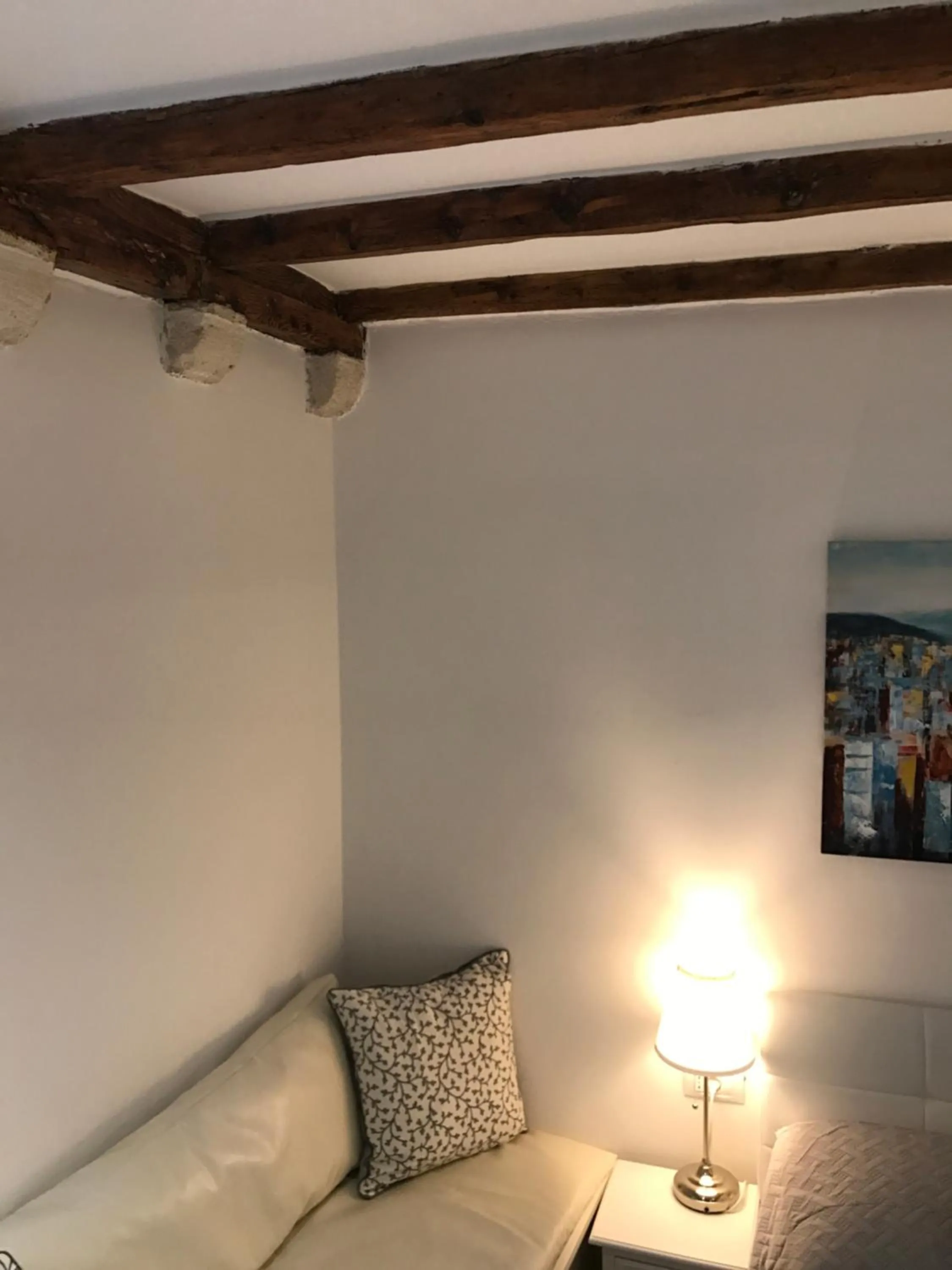 Area and facilities in Rilati Old town Palace 2