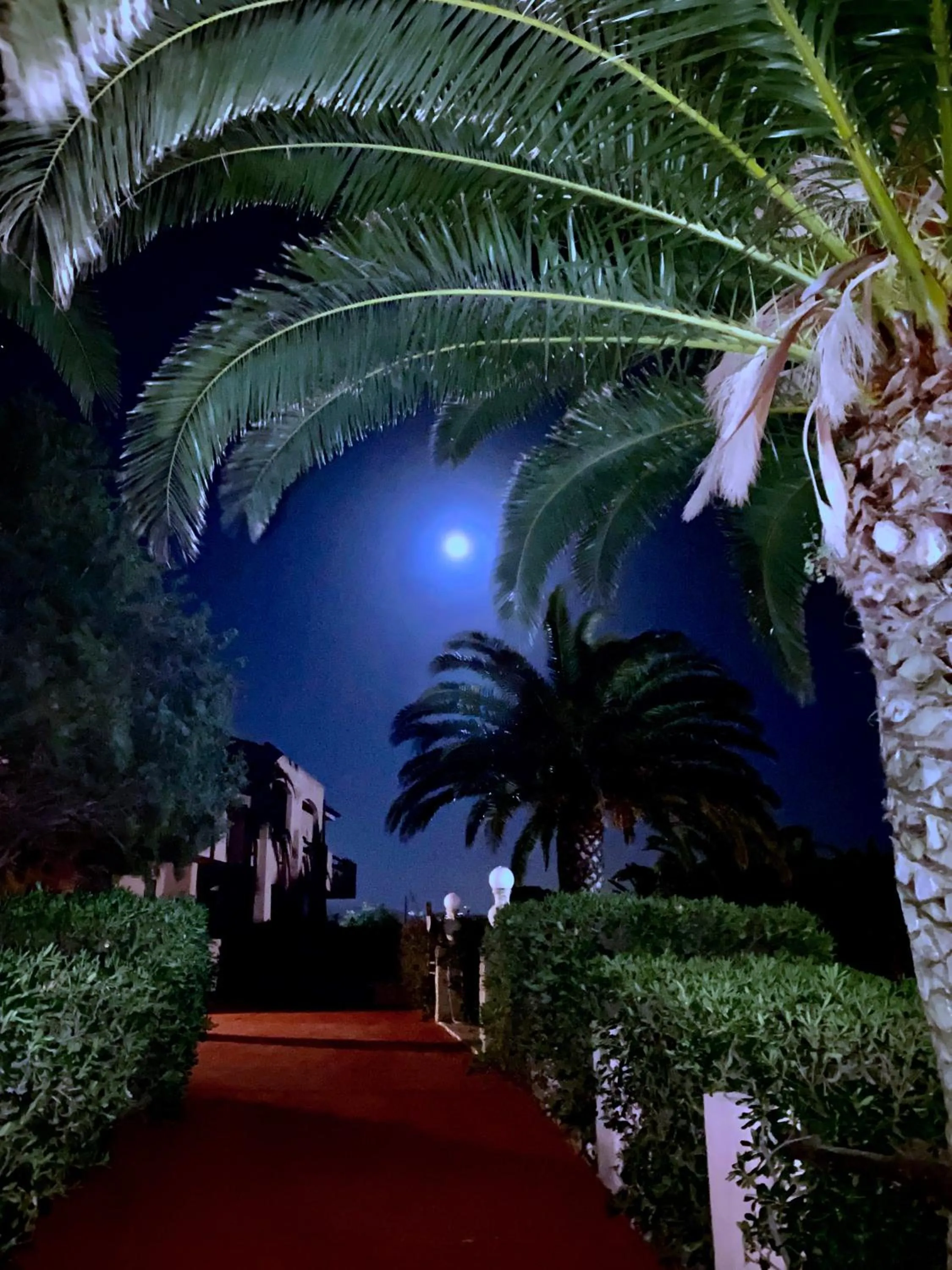 Night in Hotel I Ginepri