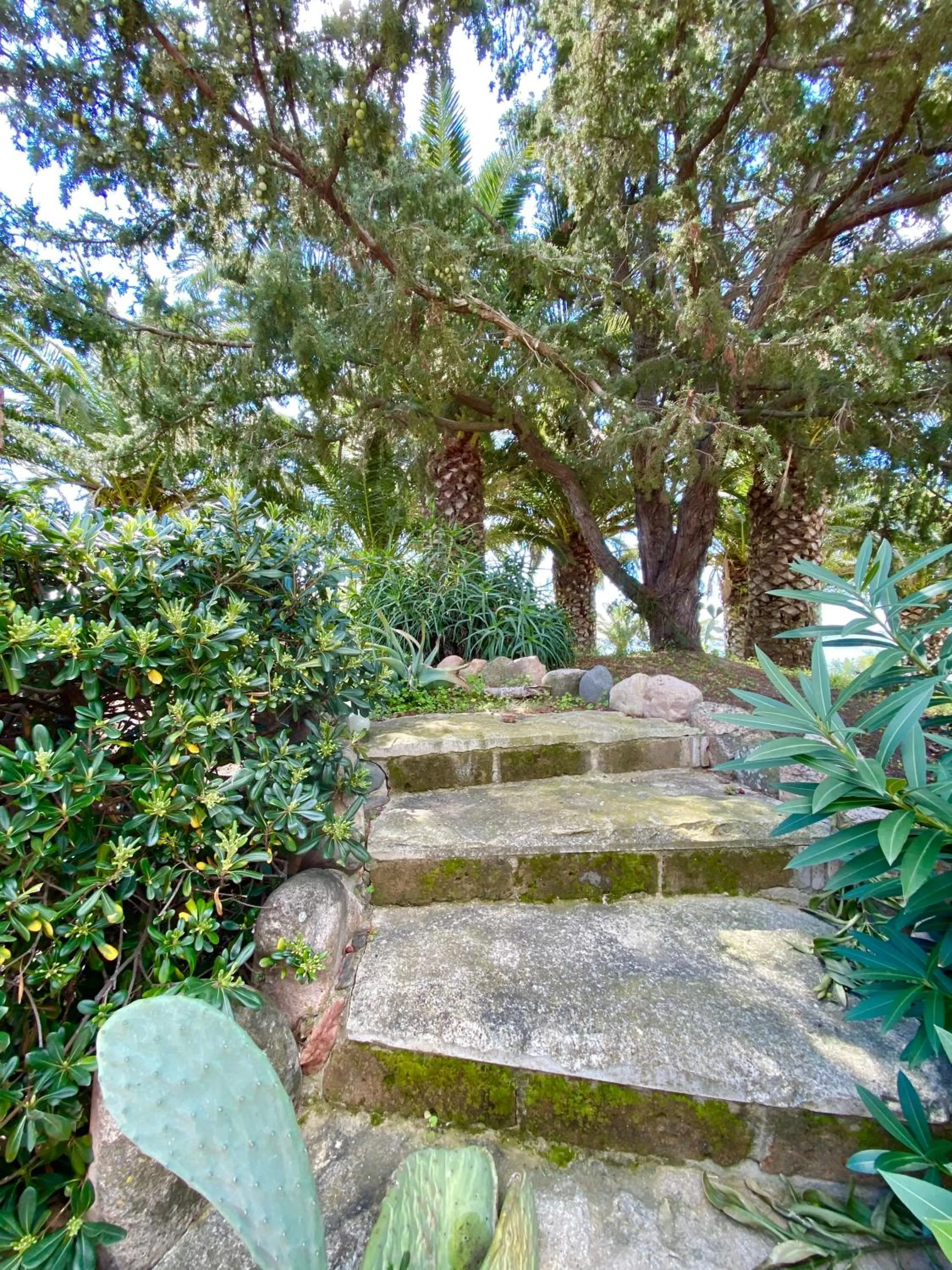 Day in Hotel I Ginepri