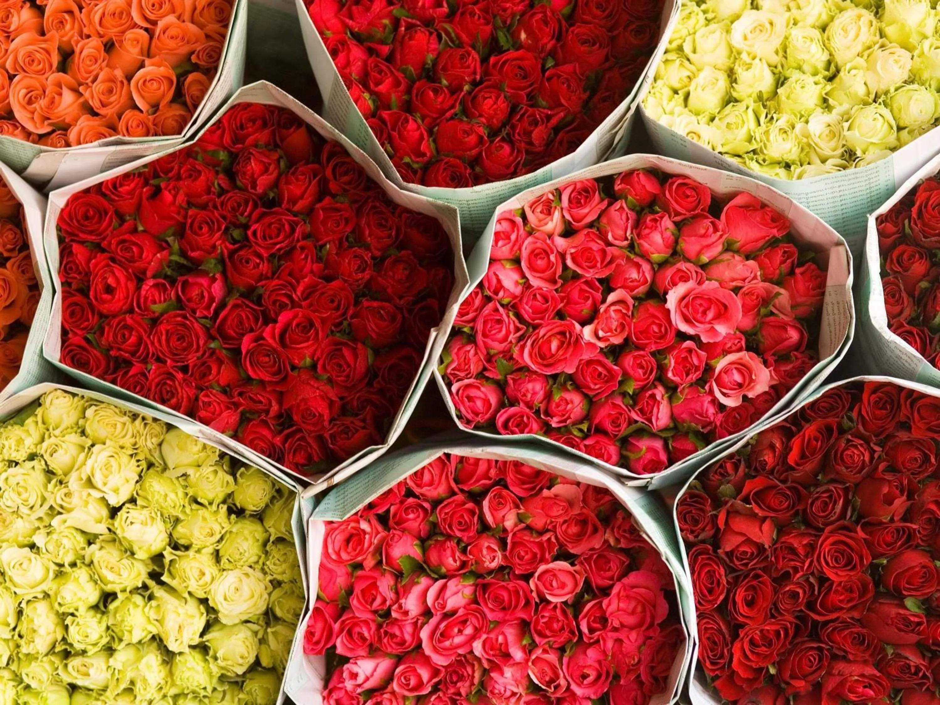 Property building in Movenpick Suriwongse Hotel Chiang Mai