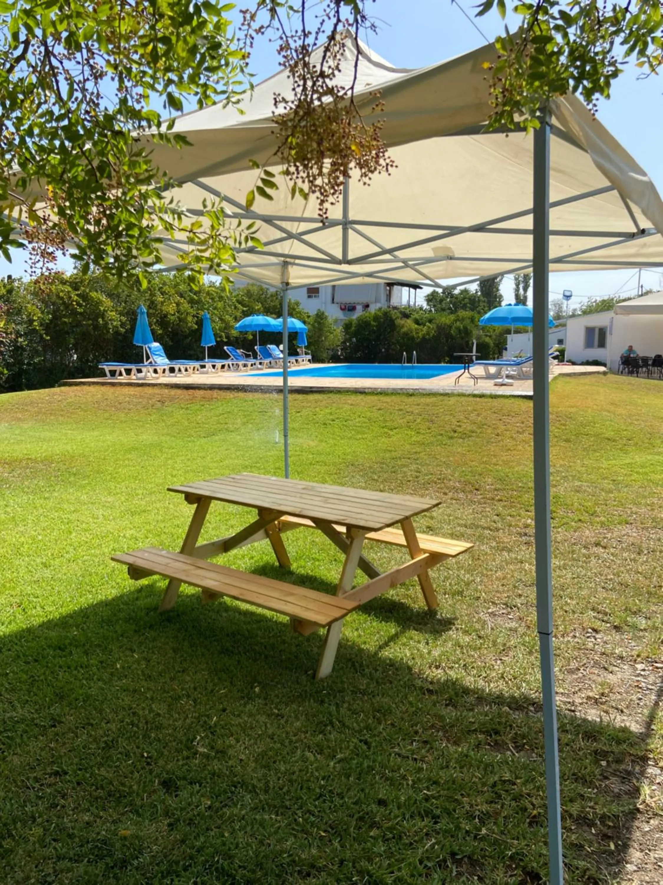 Garden in Angelos Studios