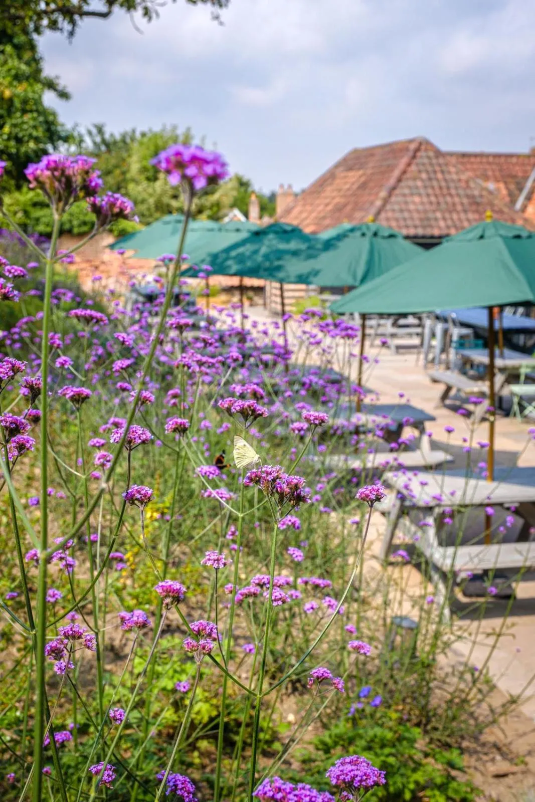Garden in The Ship At Dunwich