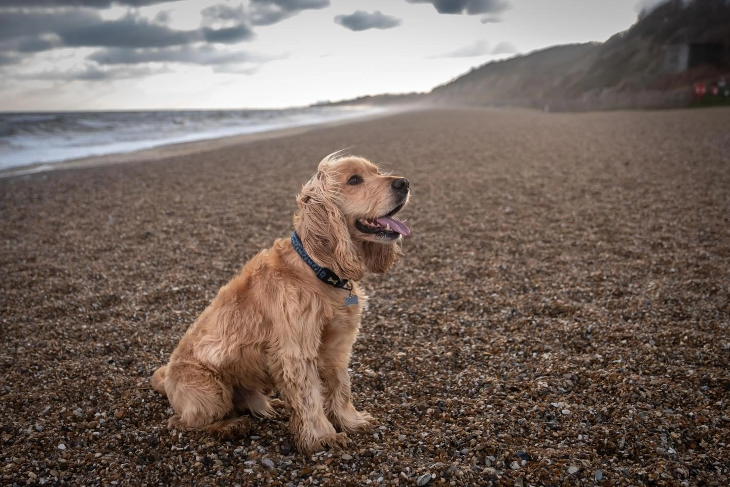 Beach in The Ship At Dunwich