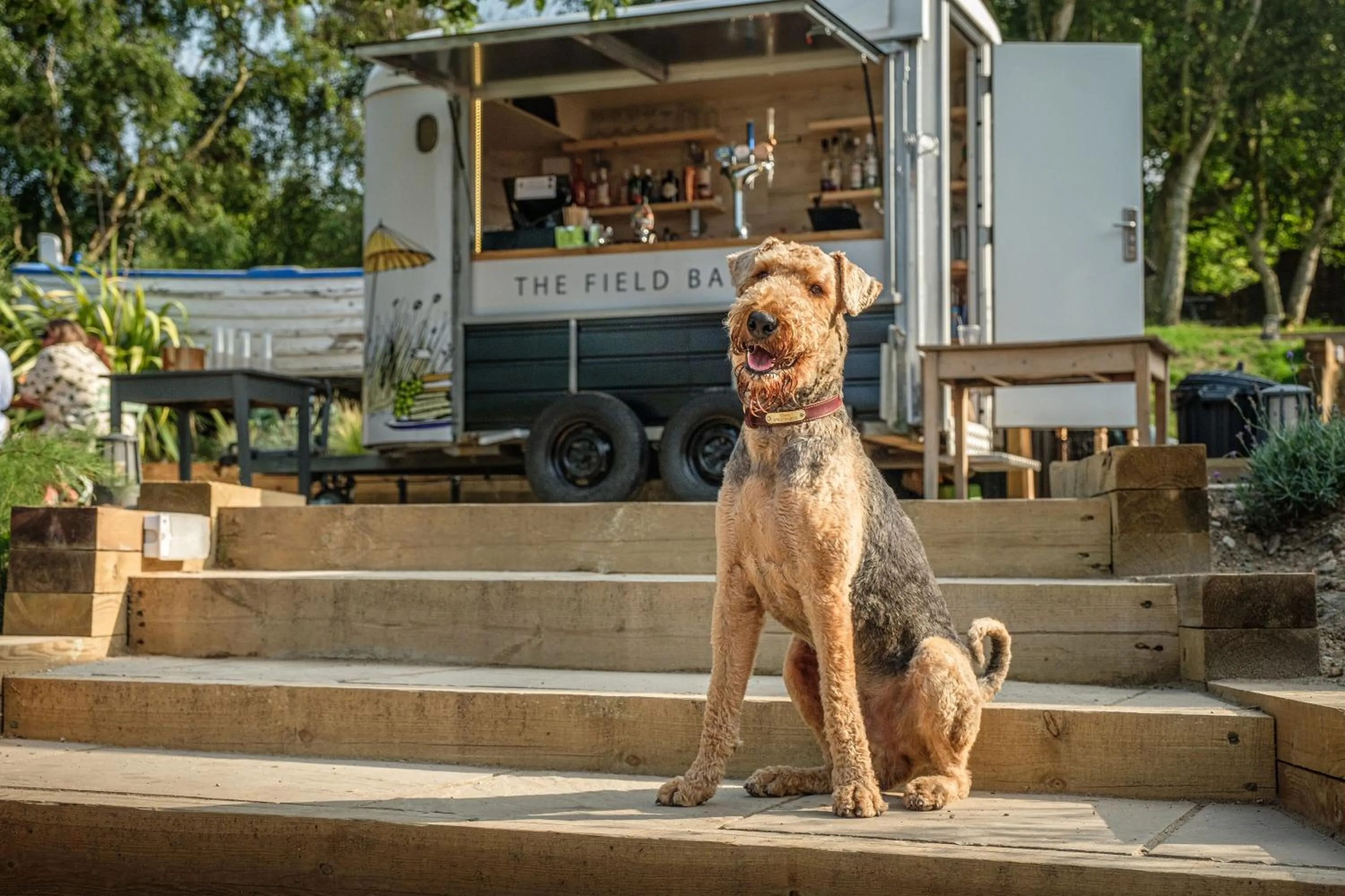 Pets in The Ship At Dunwich