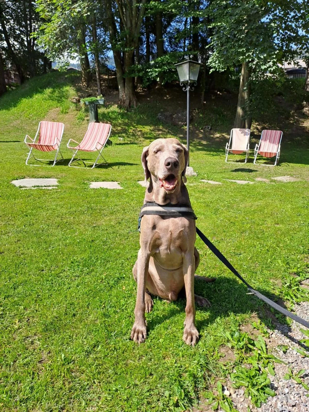 Hotel Garni St. Hubertus