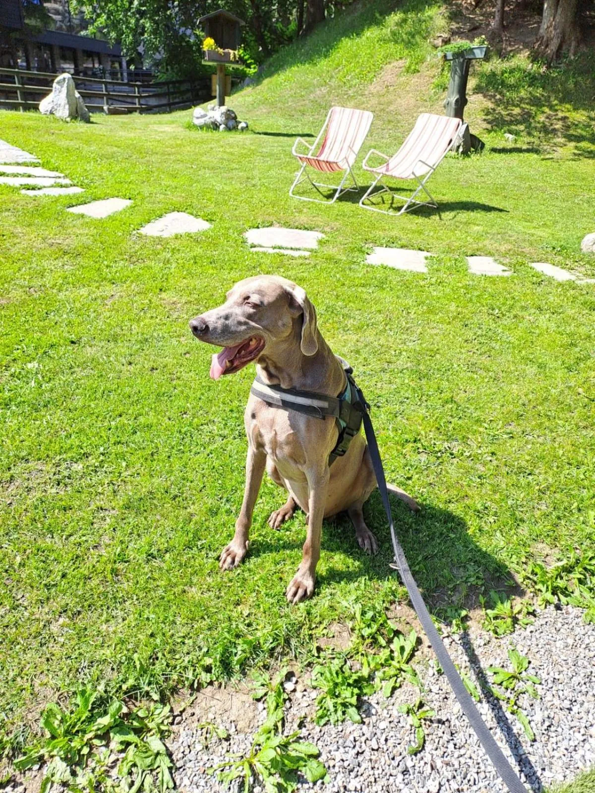 Hotel Garni St. Hubertus