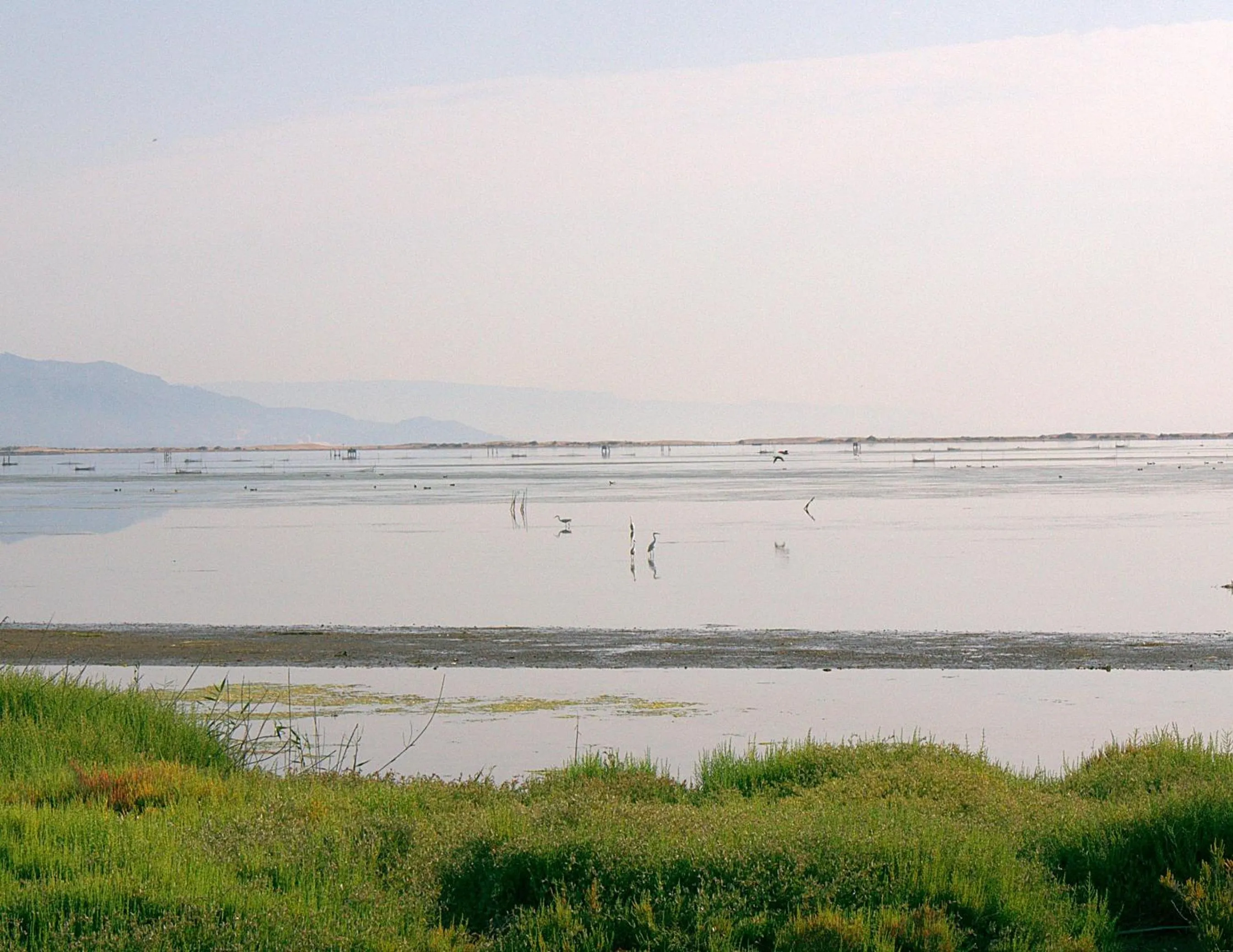 Natural landscape in Hotel La Rápita