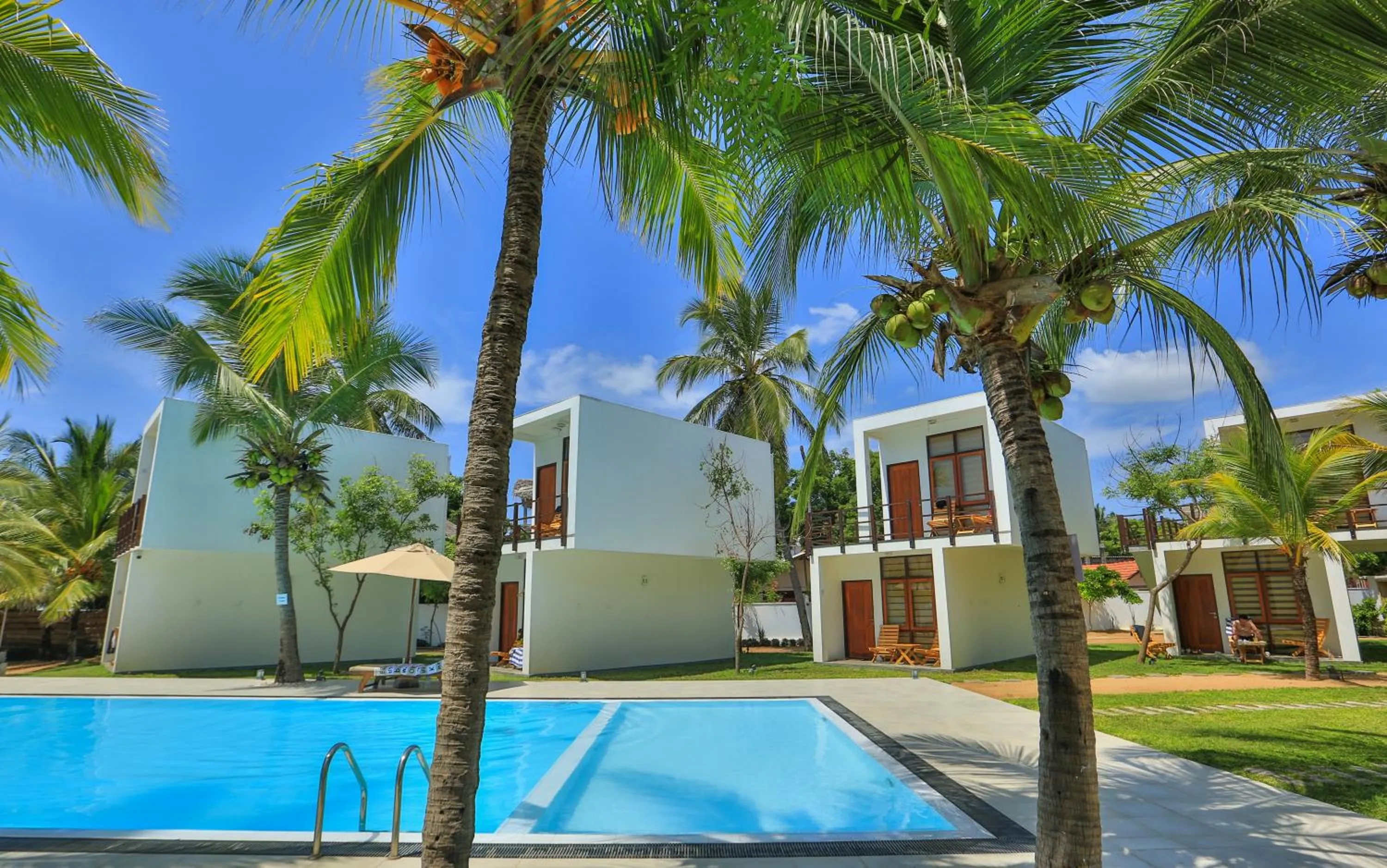Swimming pool in Arugambay Roccos
