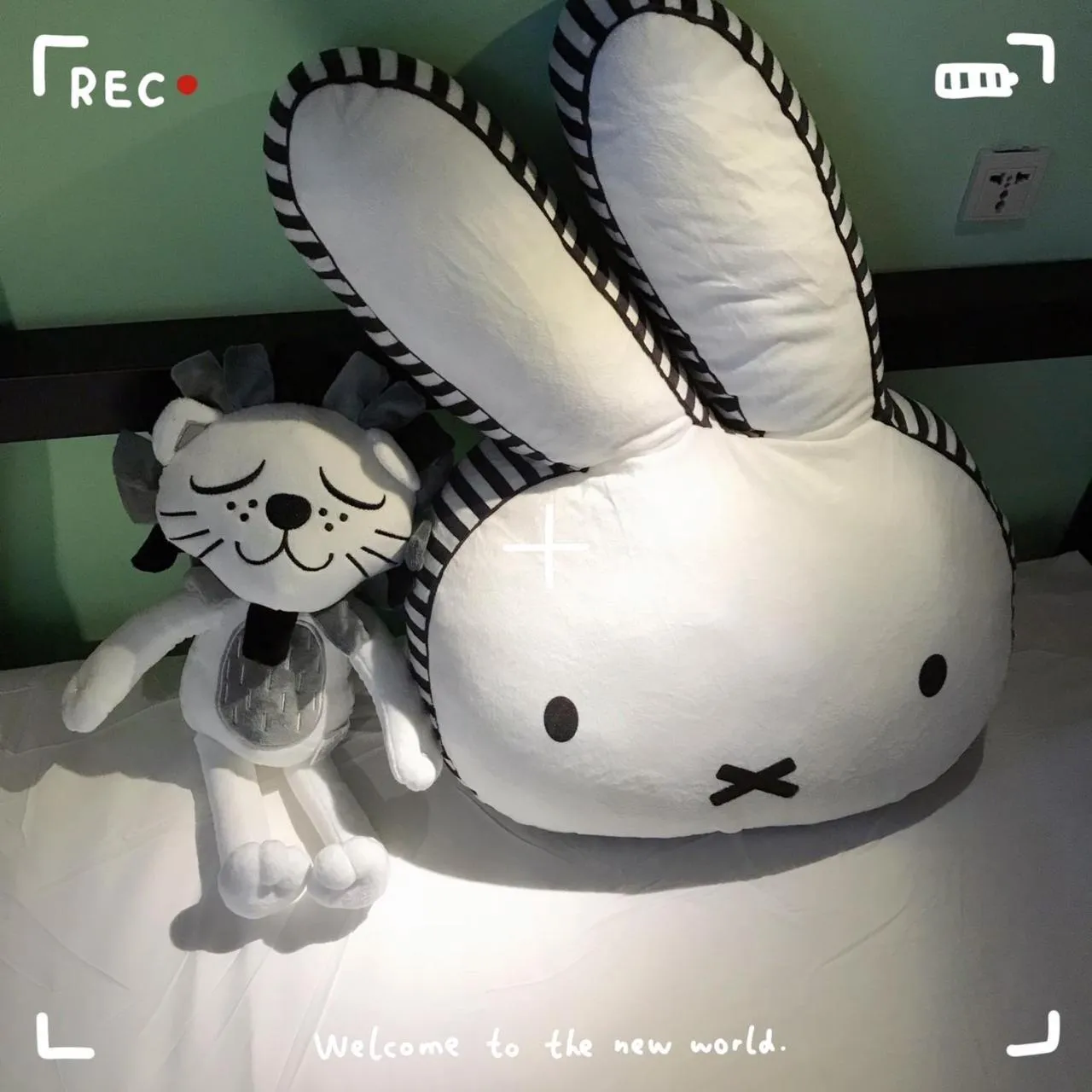 bunk bed in Tourist Bunny Hostel