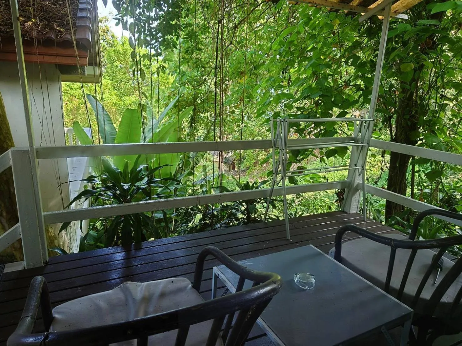 Balcony/Terrace in On The Hill Karon Resort