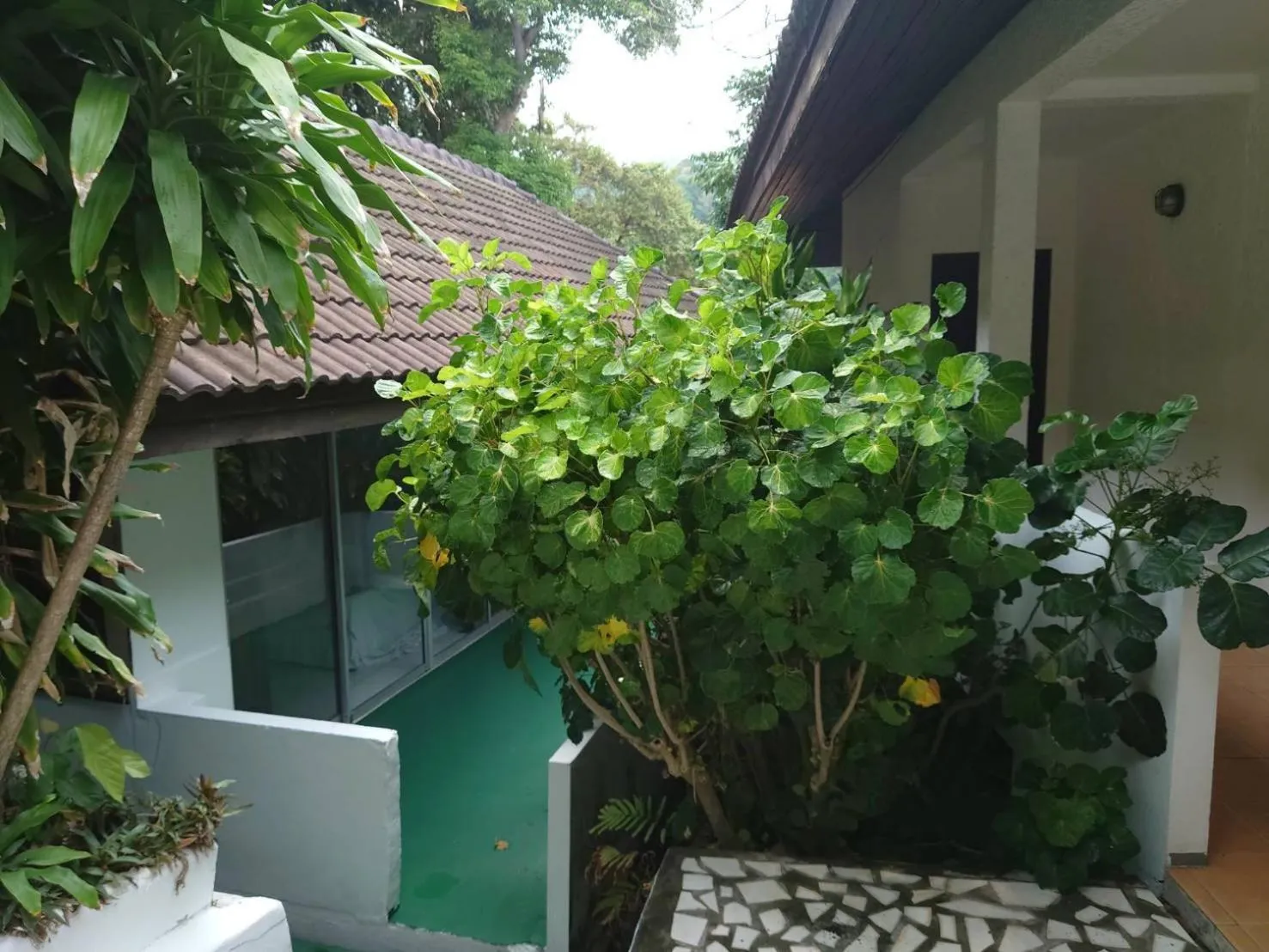 Property building in On The Hill Karon Resort