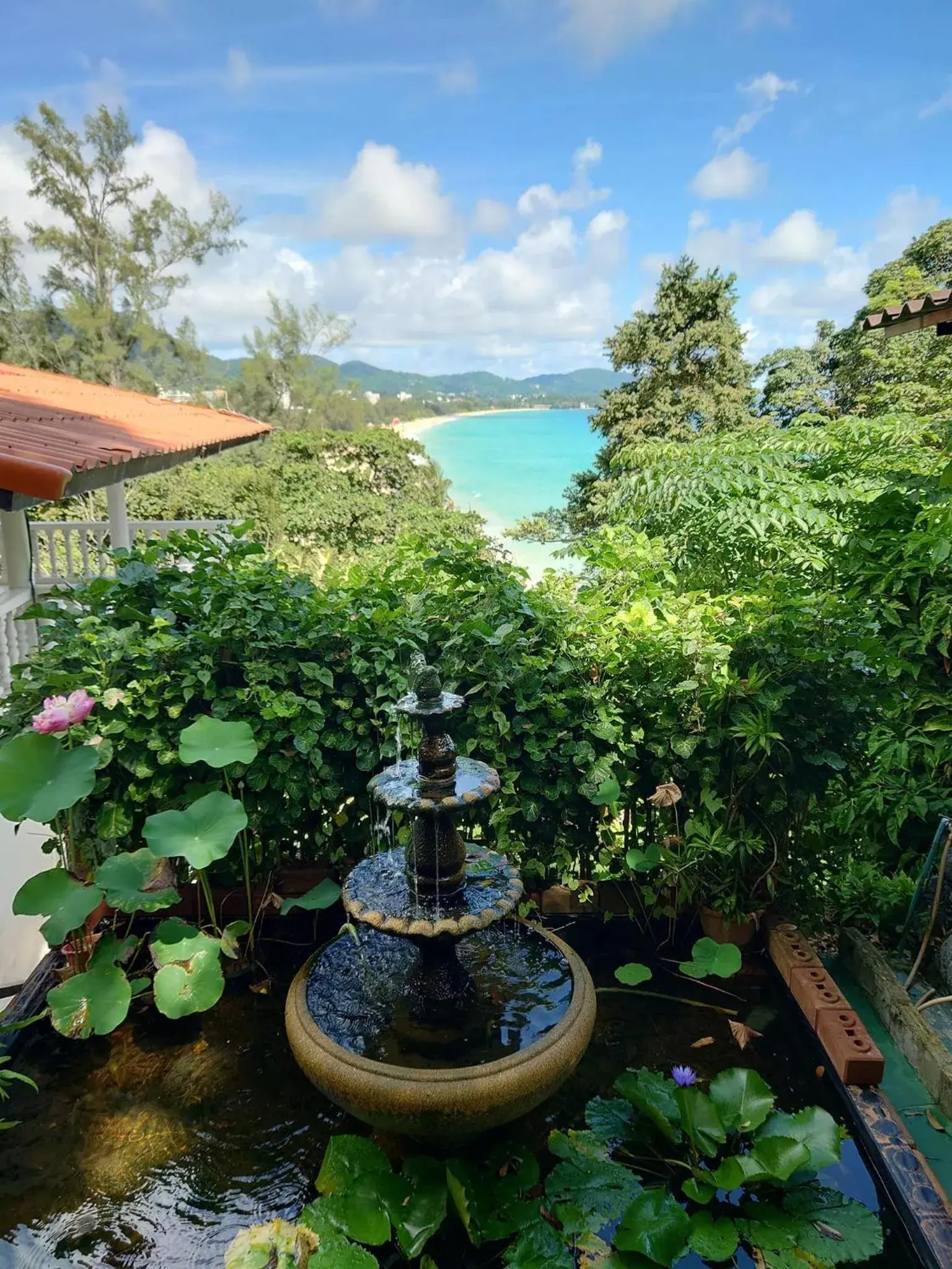 Garden view in On The Hill Karon Resort Garden view in On The Hill Karon Resort