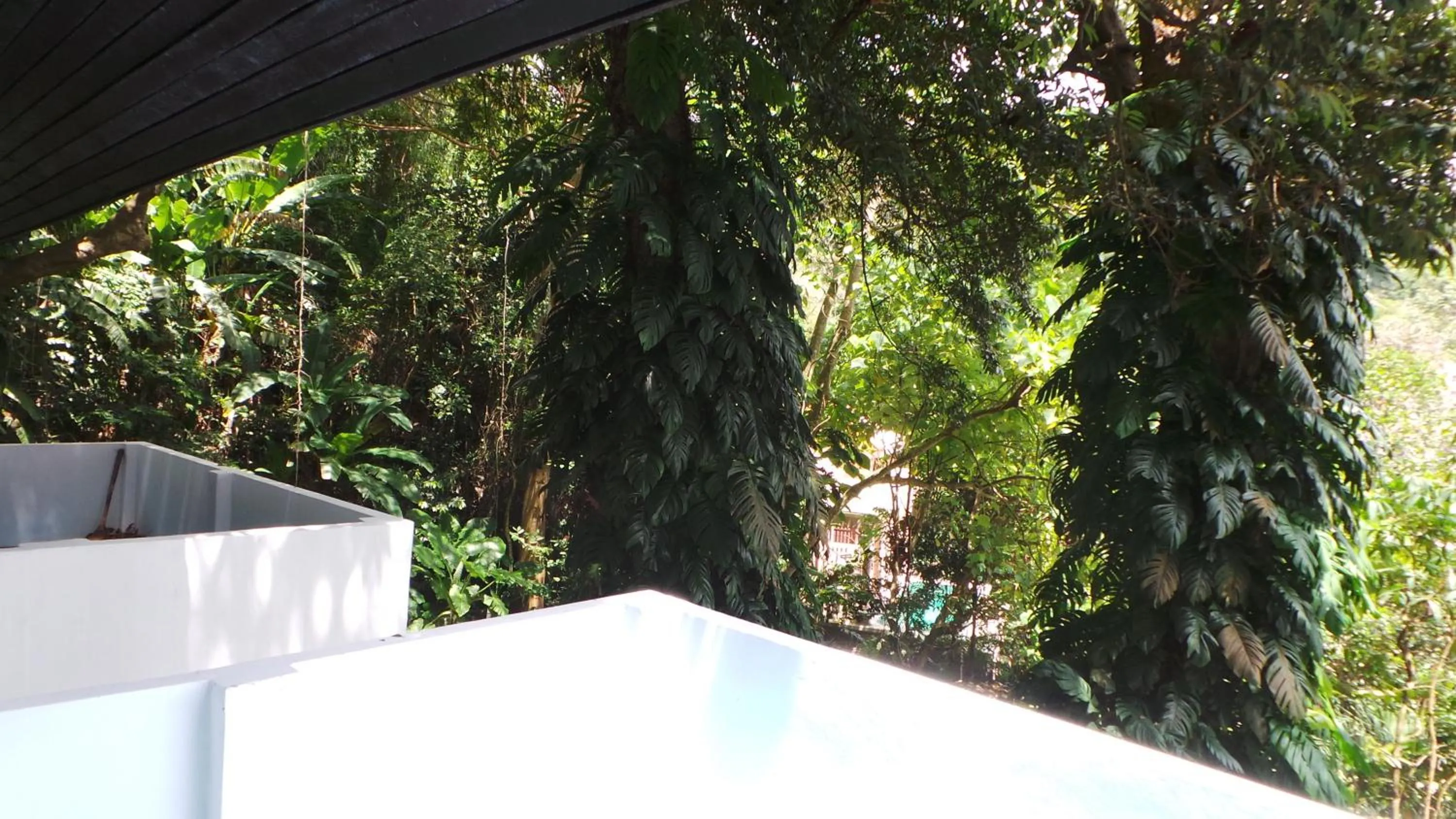 Garden in On The Hill Karon Resort