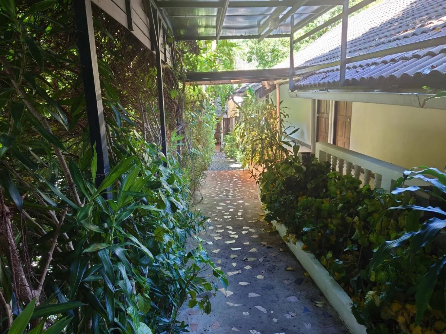 Balcony/Terrace in On The Hill Karon Resort