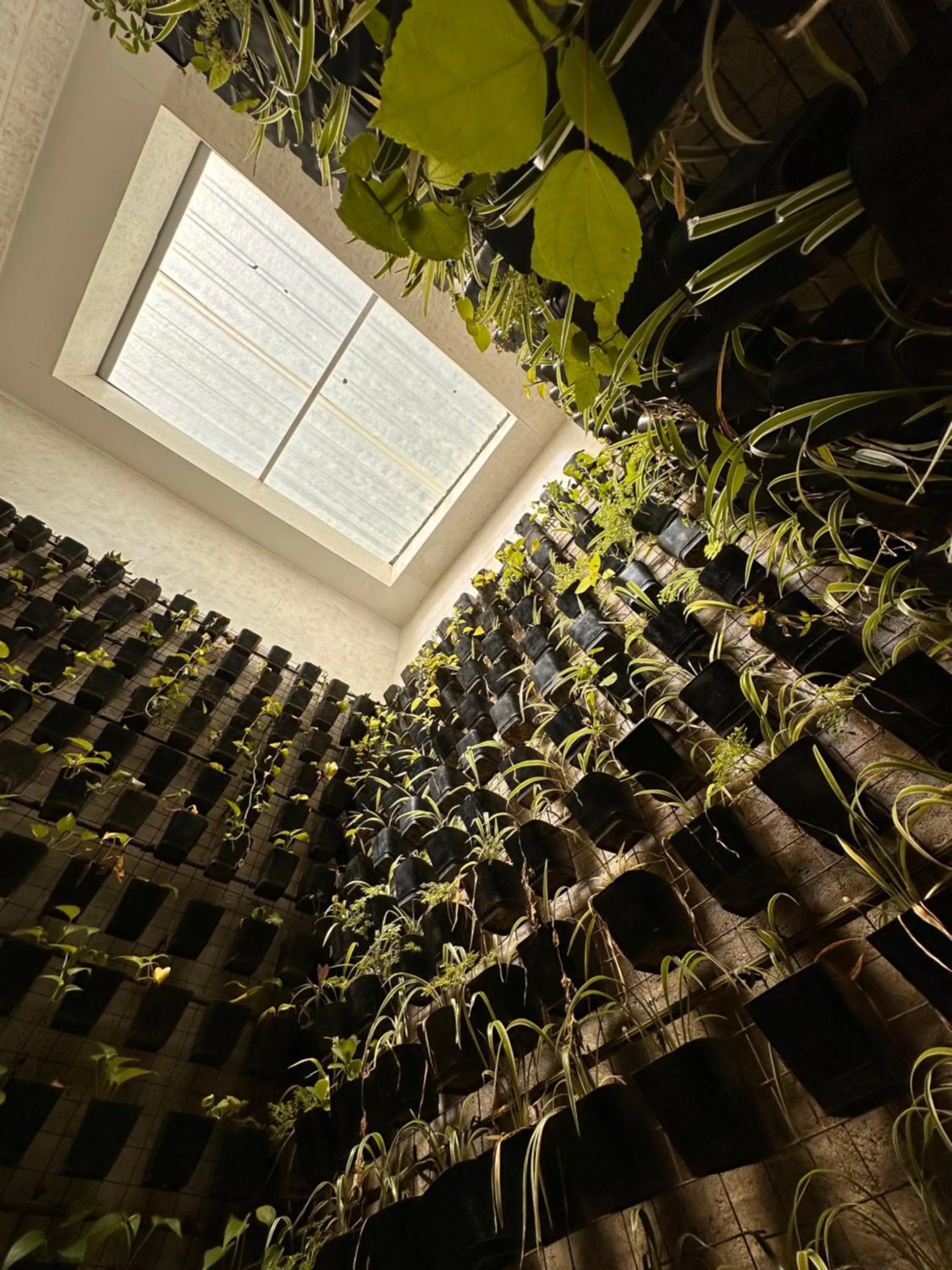 Garden view in Urban Boutique Hotel