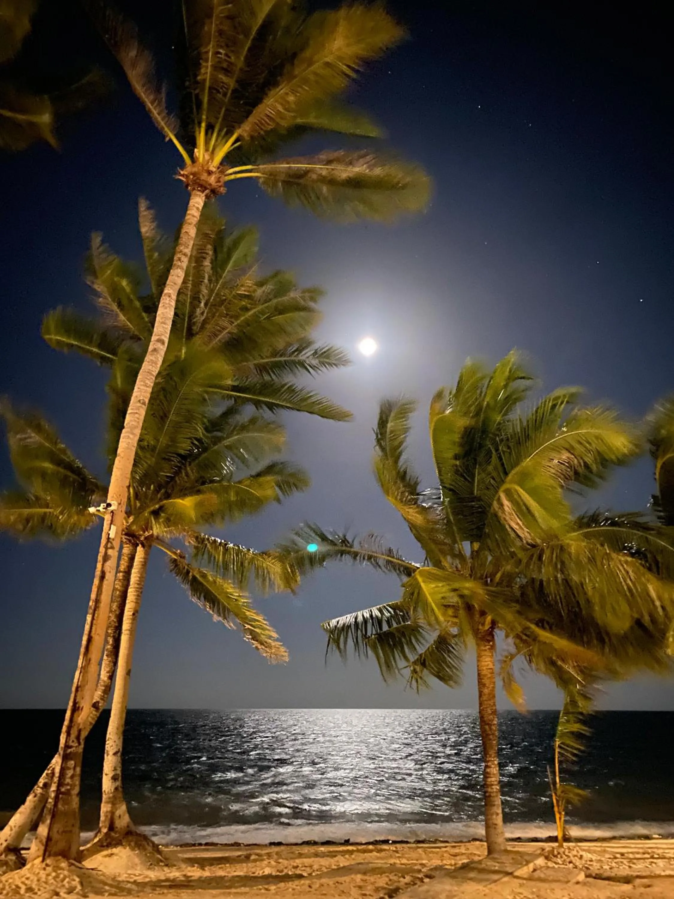 Beach in Urban Boutique Hotel